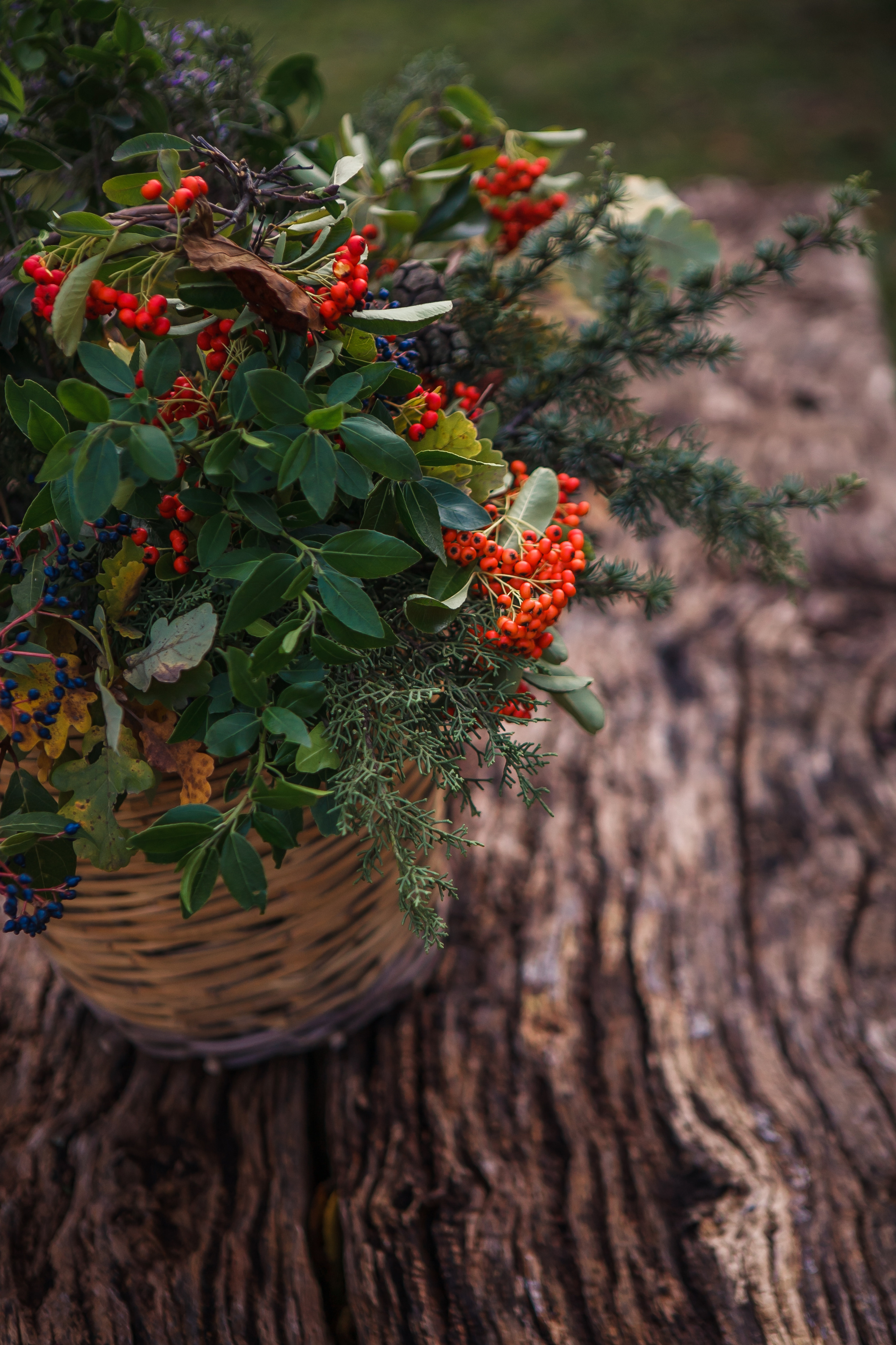 Autumn in Macerata. Professional photographer based in Rome