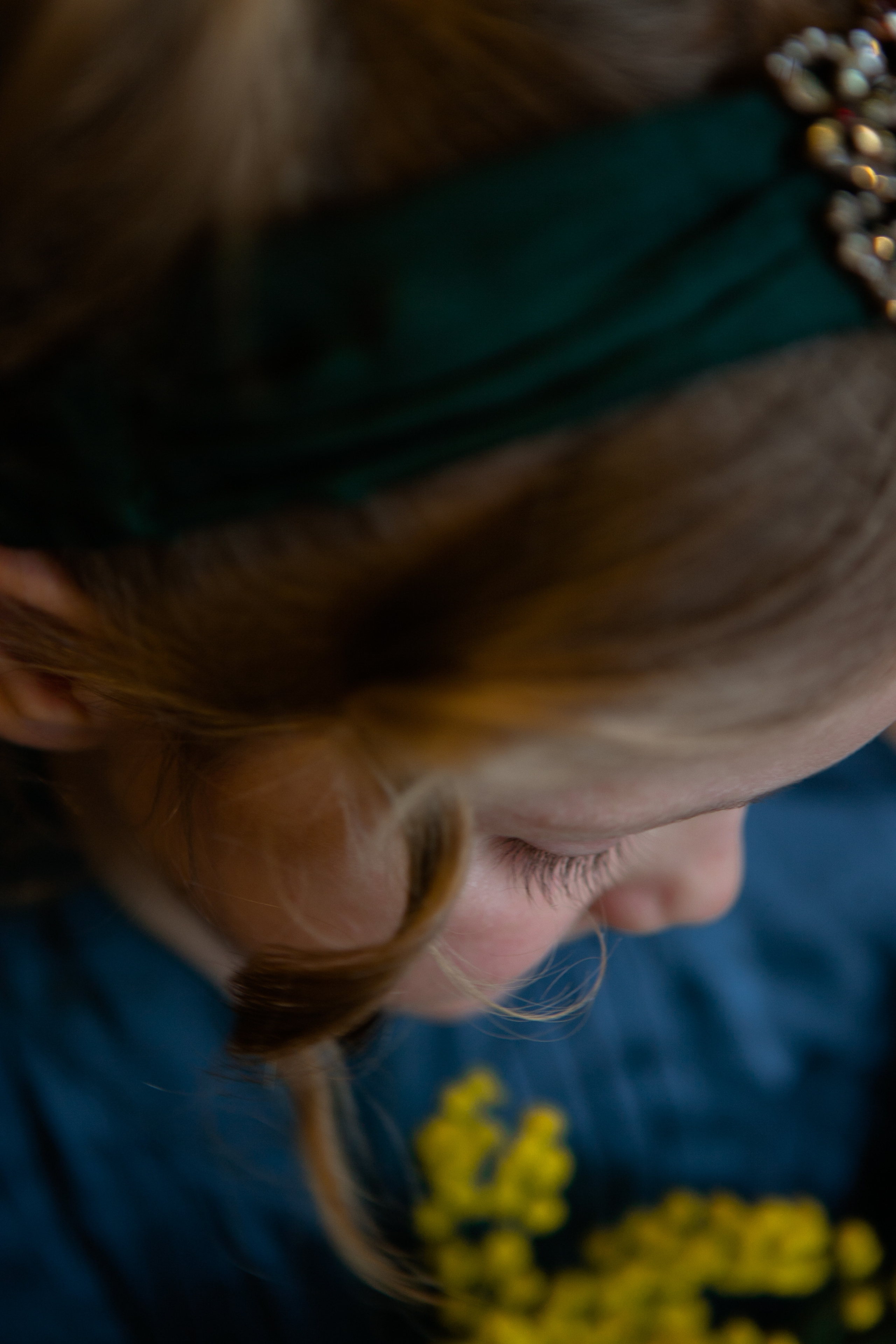 Mimosa. Professional photographer based in Rome