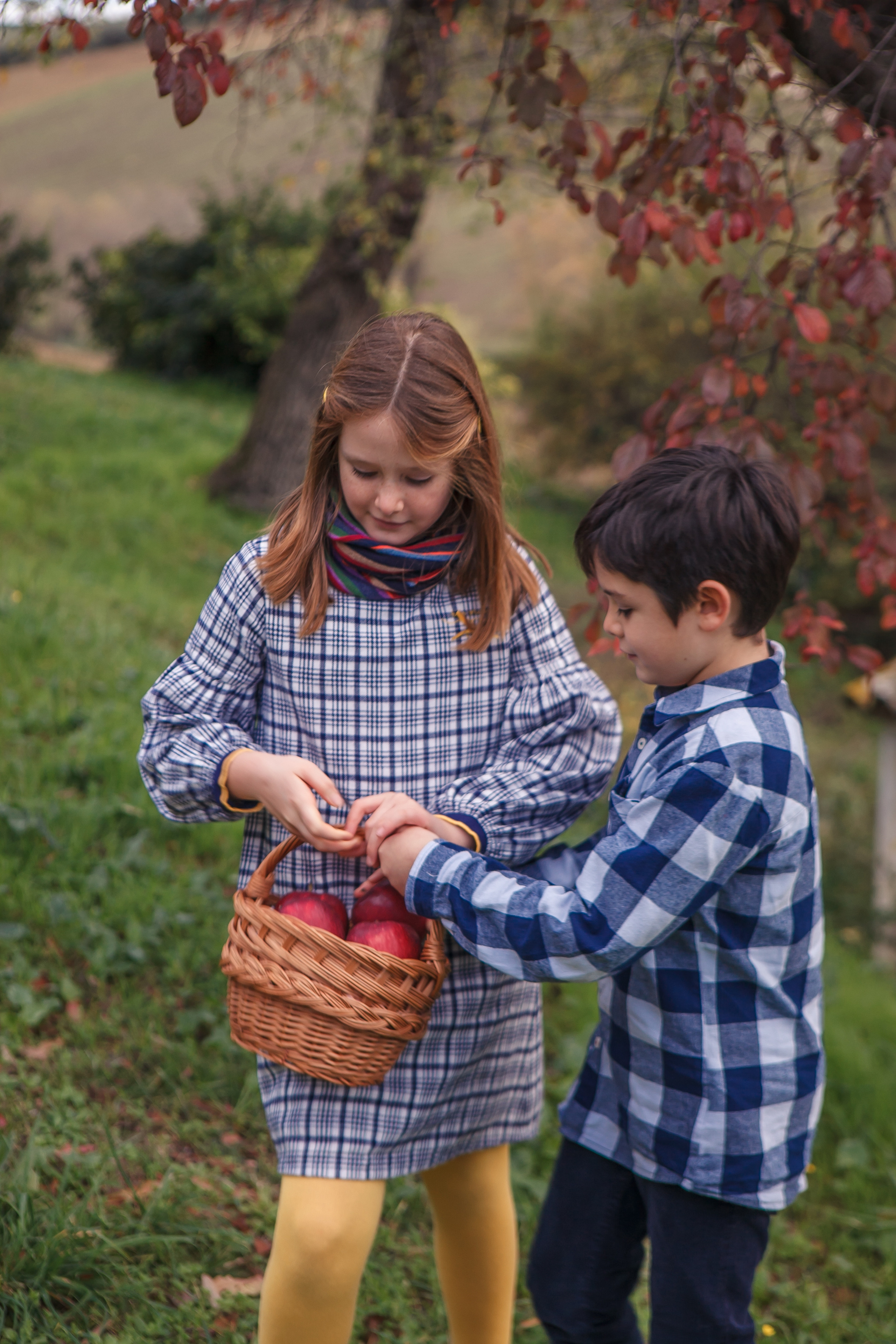 Autumn in Macerata. Professional photographer based in Rome