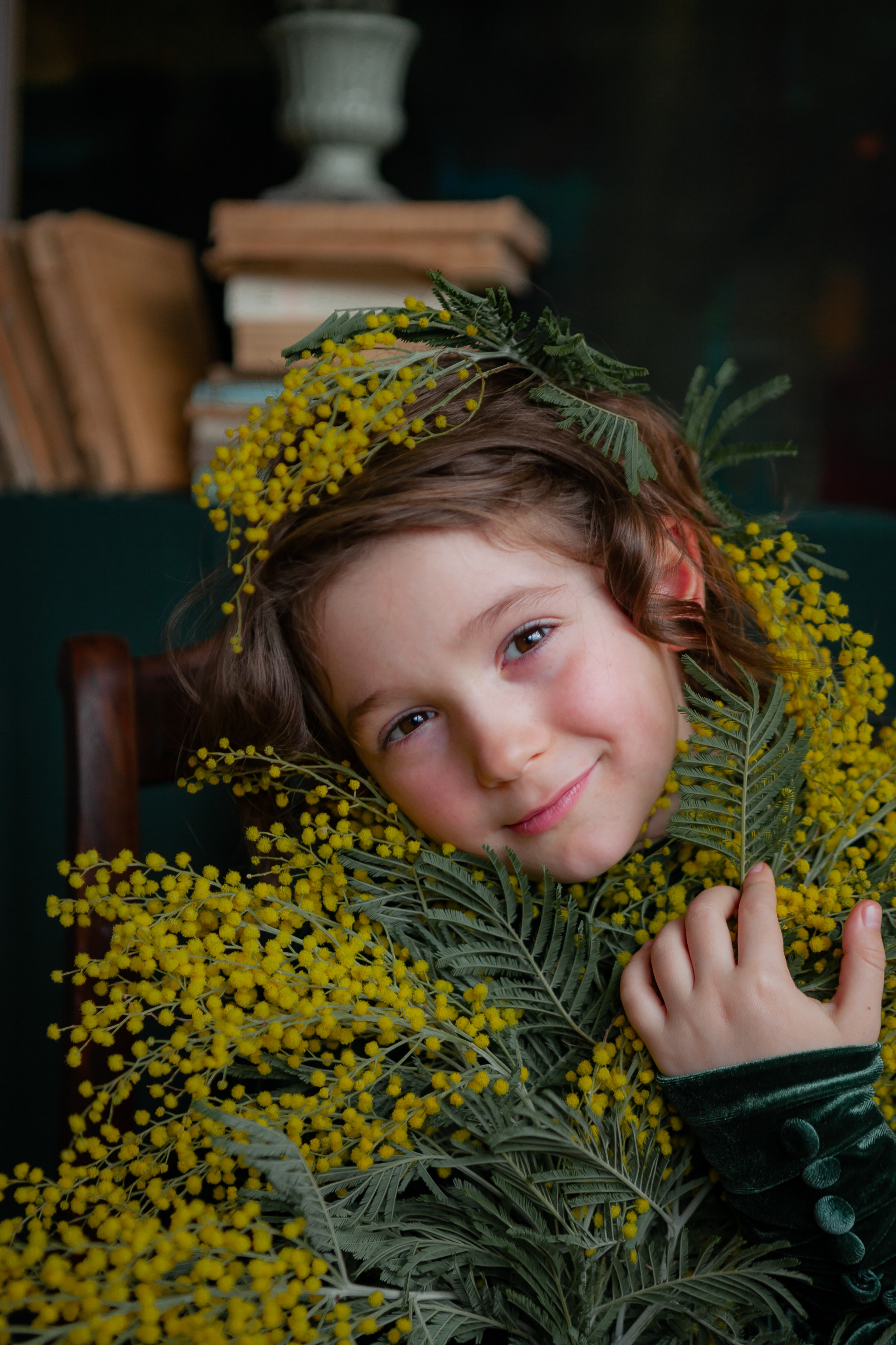 Mimosa. Professional photographer based in Rome