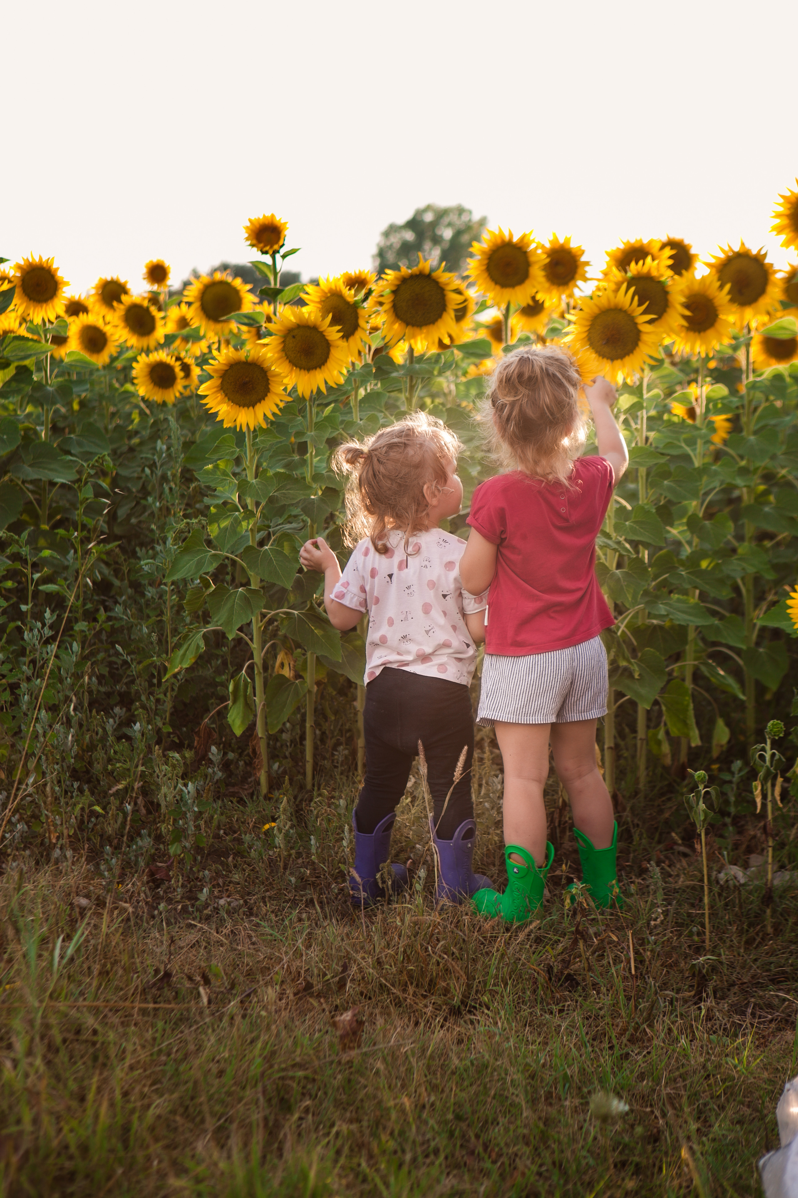 Buhty. Professional photographer based in Rome