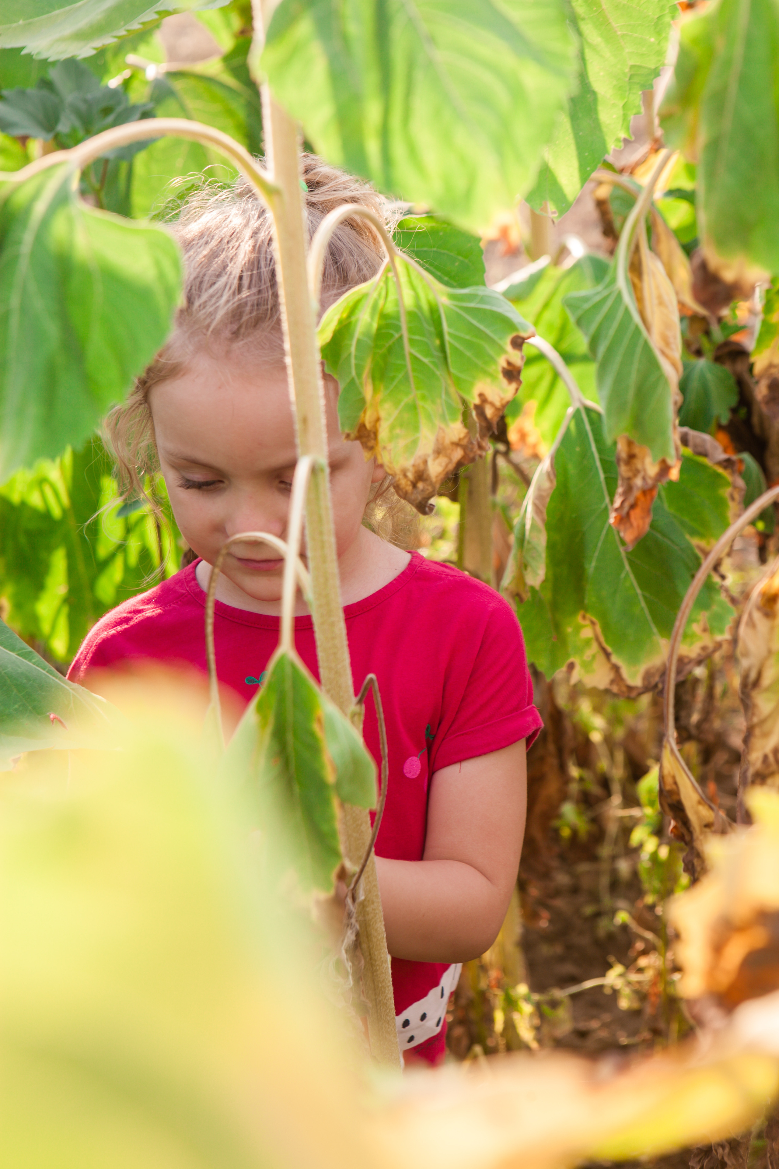 Buhty. Professional photographer based in Rome