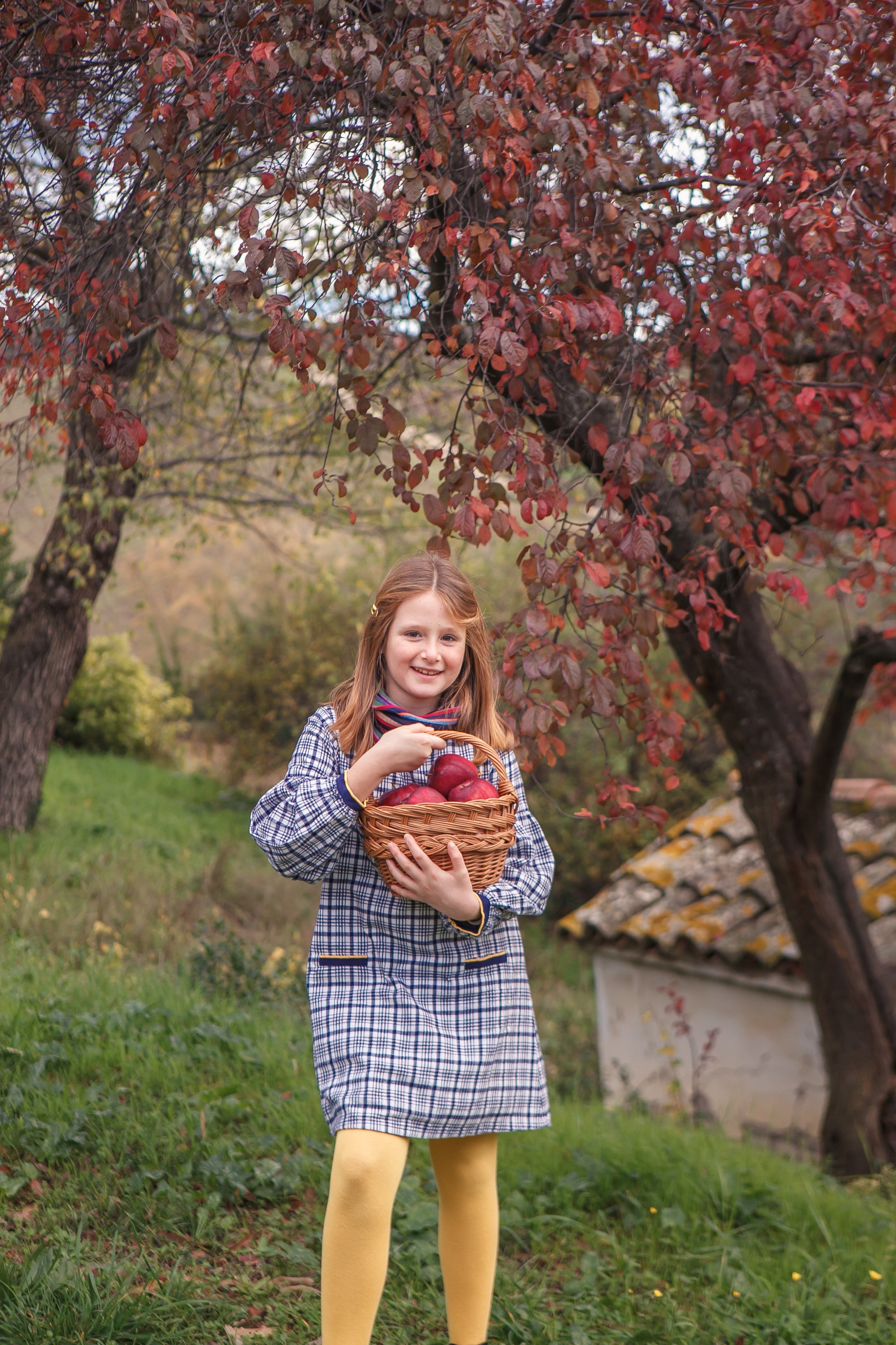 Autumn in Macerata. Professional photographer based in Rome