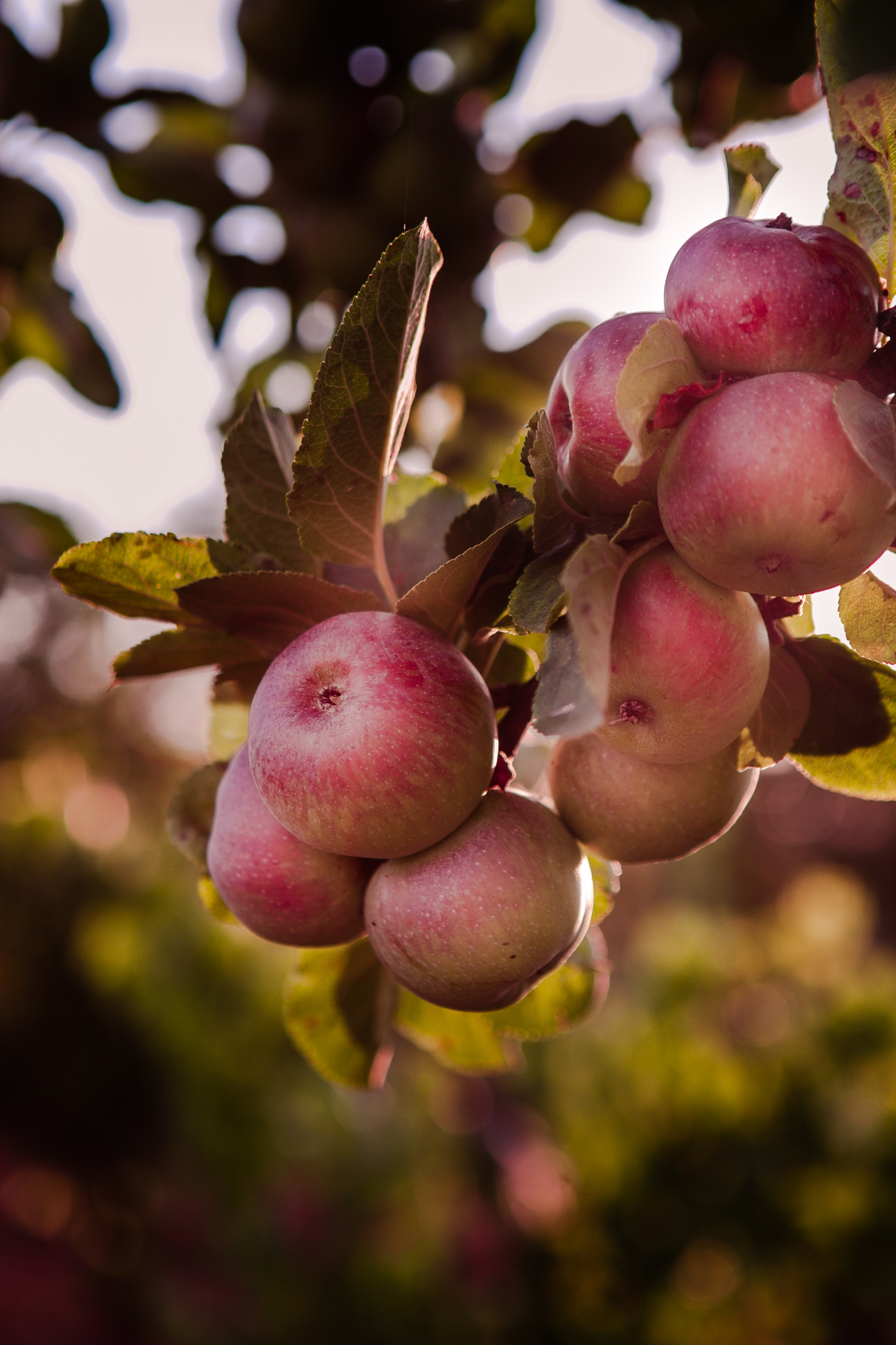 Summer time. Professional photographer based in Rome