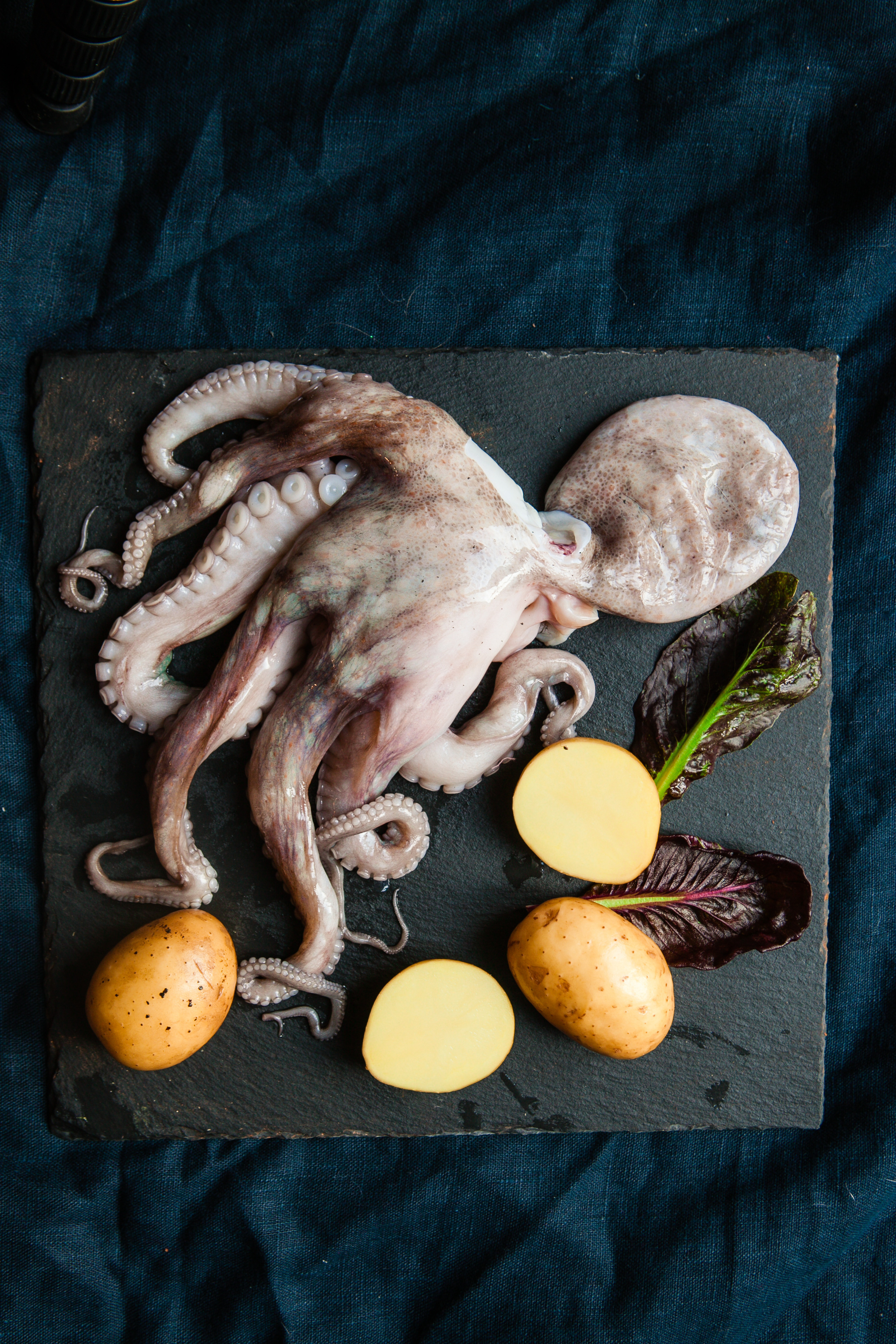 Various. Professional photographer based in Rome