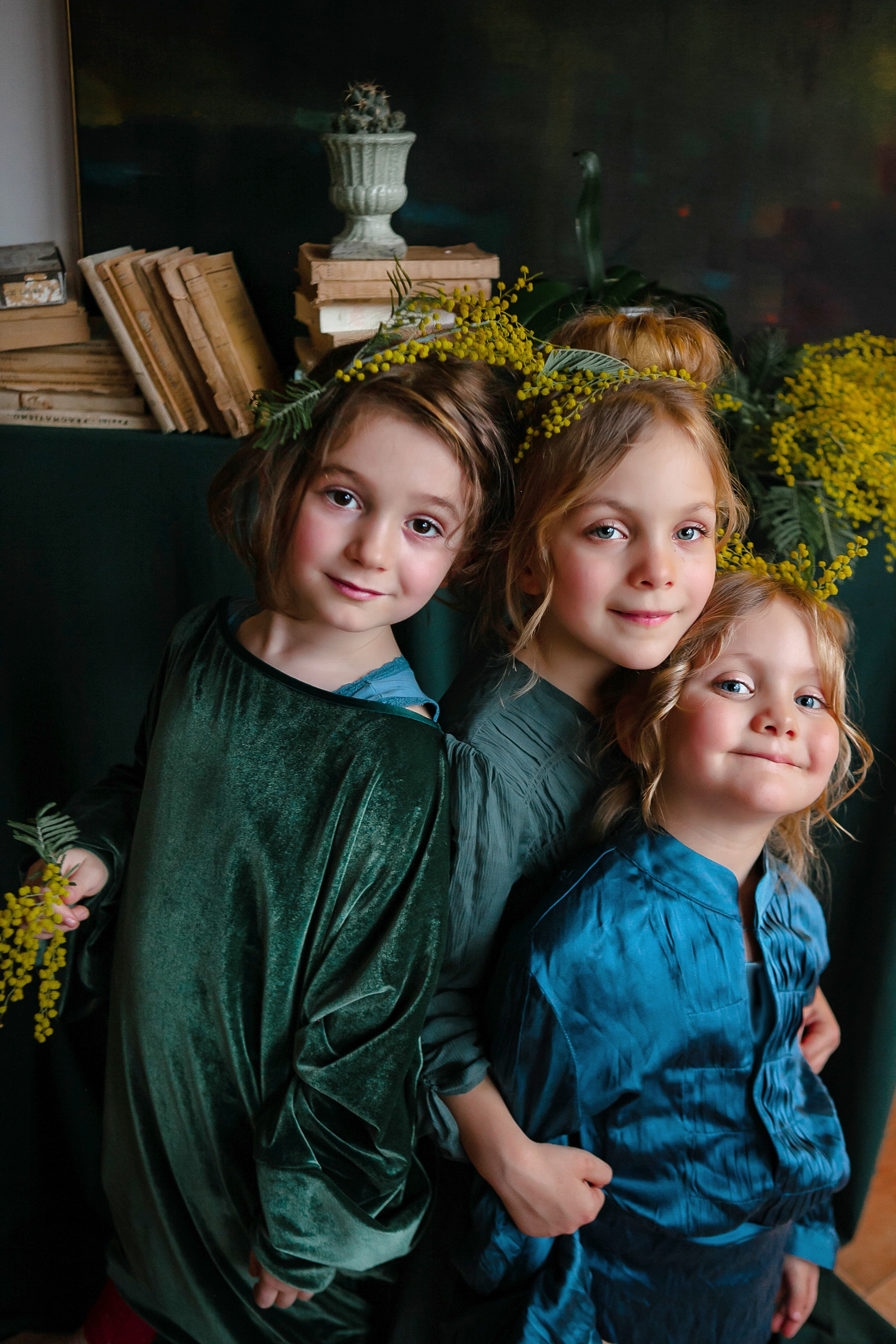 Mimosa. Professional photographer based in Rome