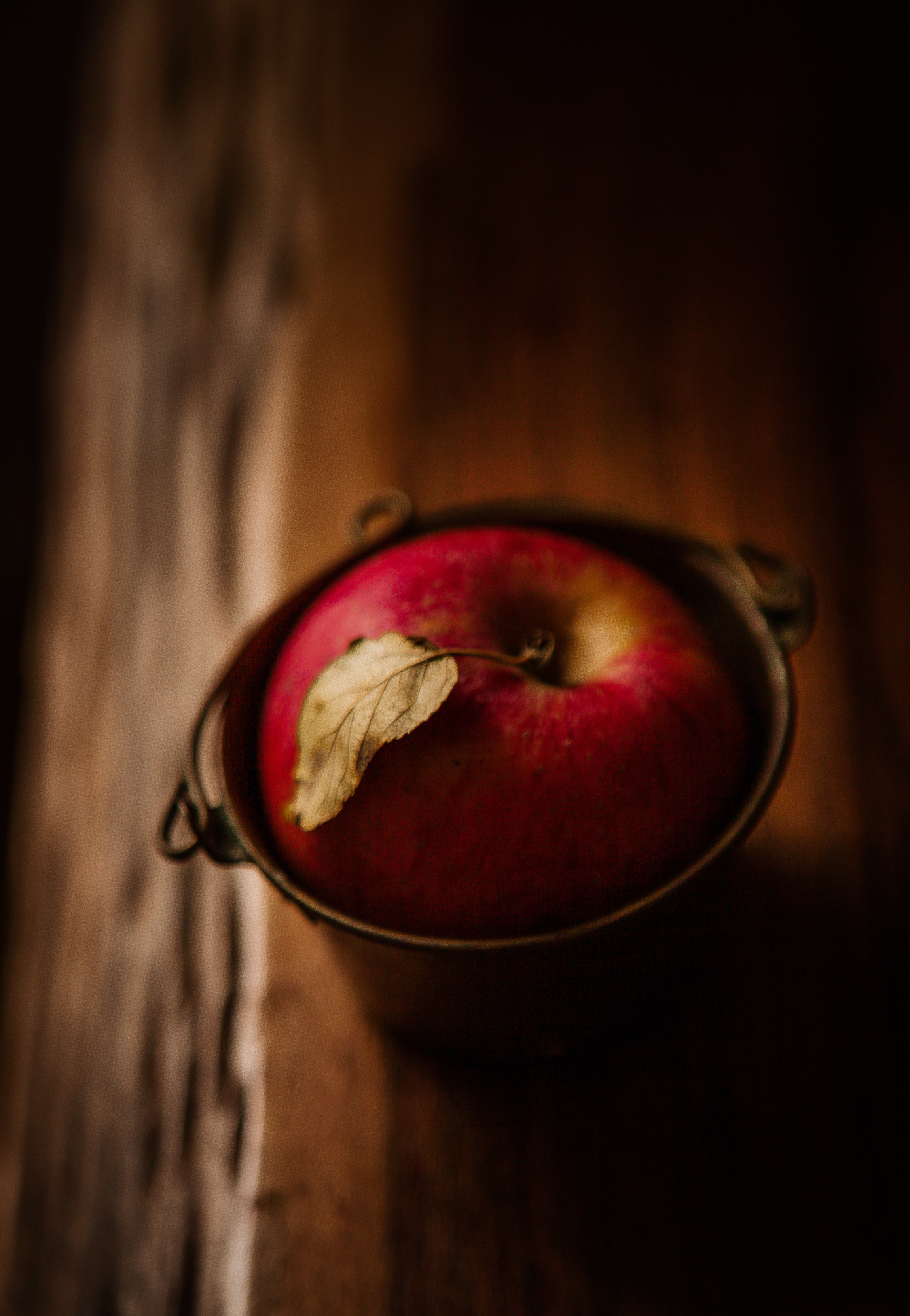 Winter time. Professional photographer based in Rome