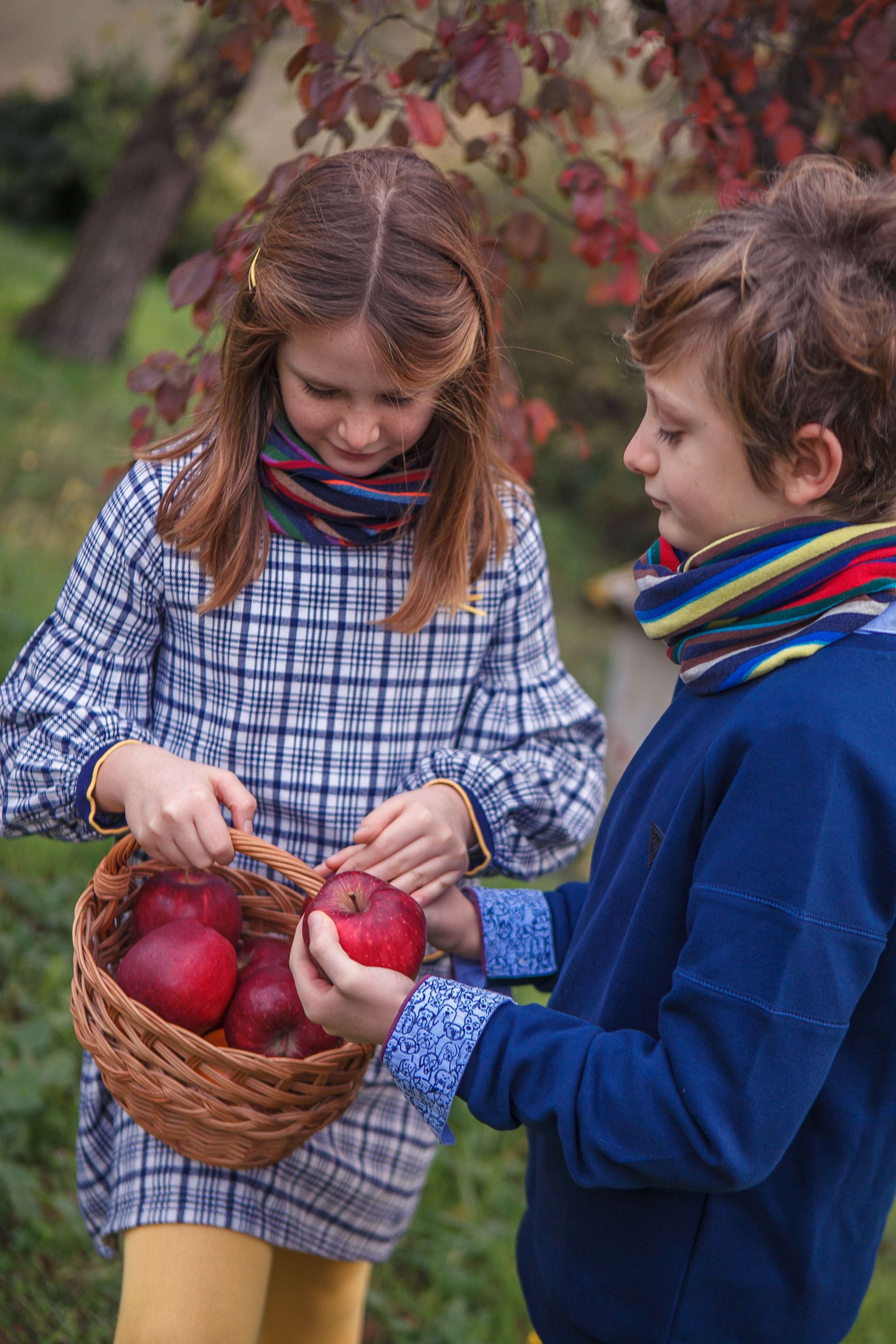 Autumn in Macerata. Professional photographer based in Rome