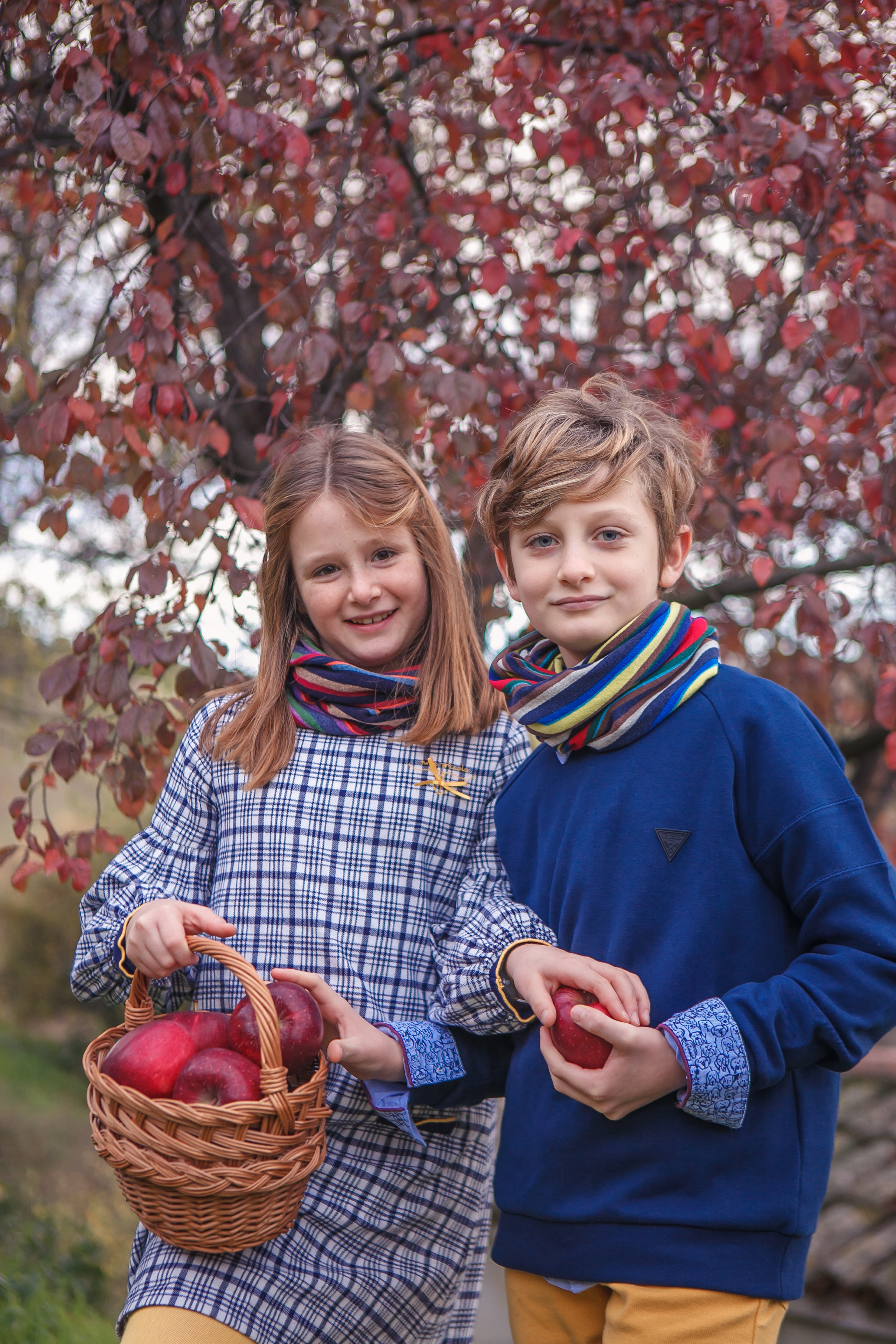 Autumn in Macerata. Professional photographer based in Rome