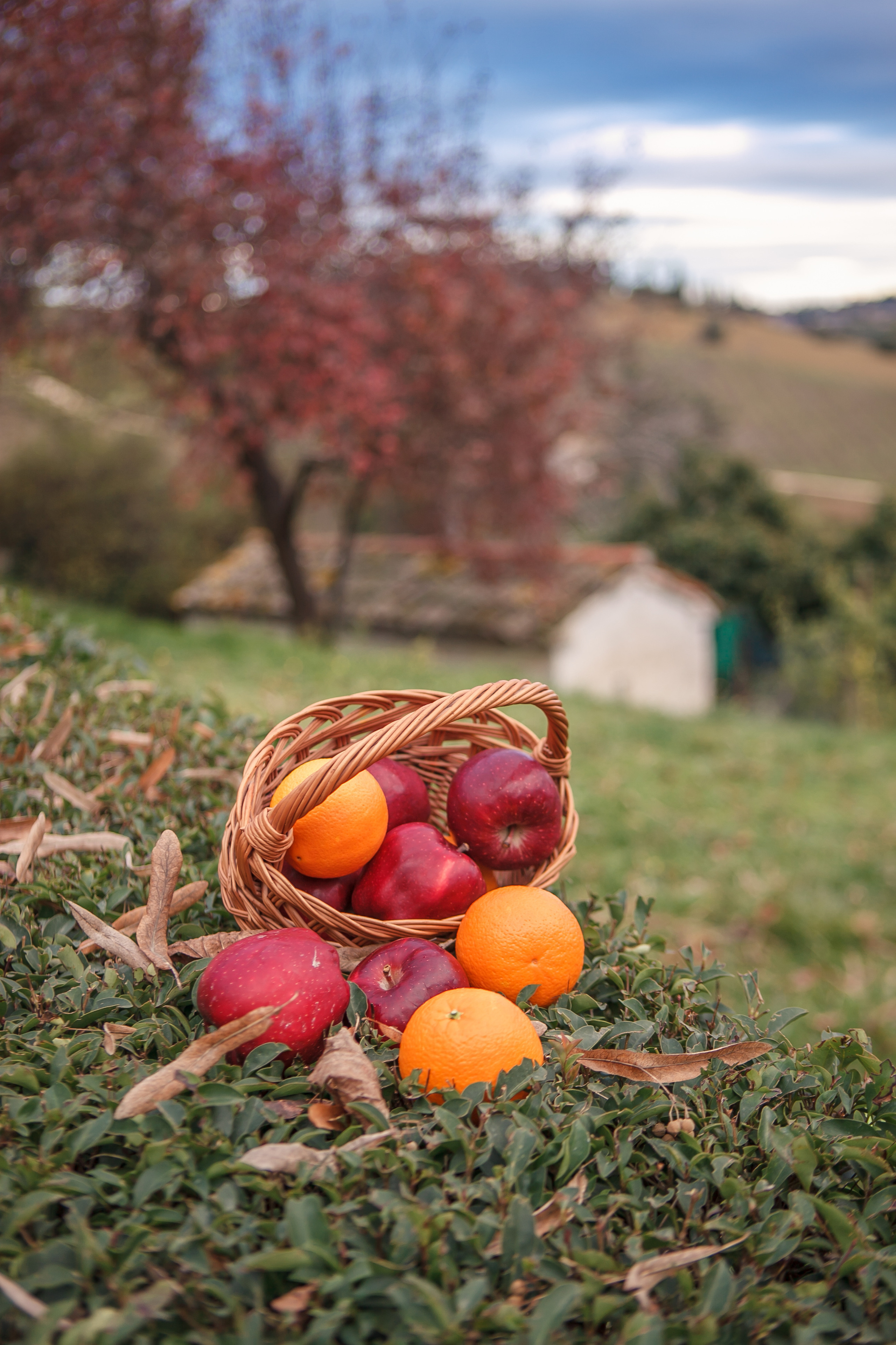 Autumn in Macerata. Professional photographer based in Rome