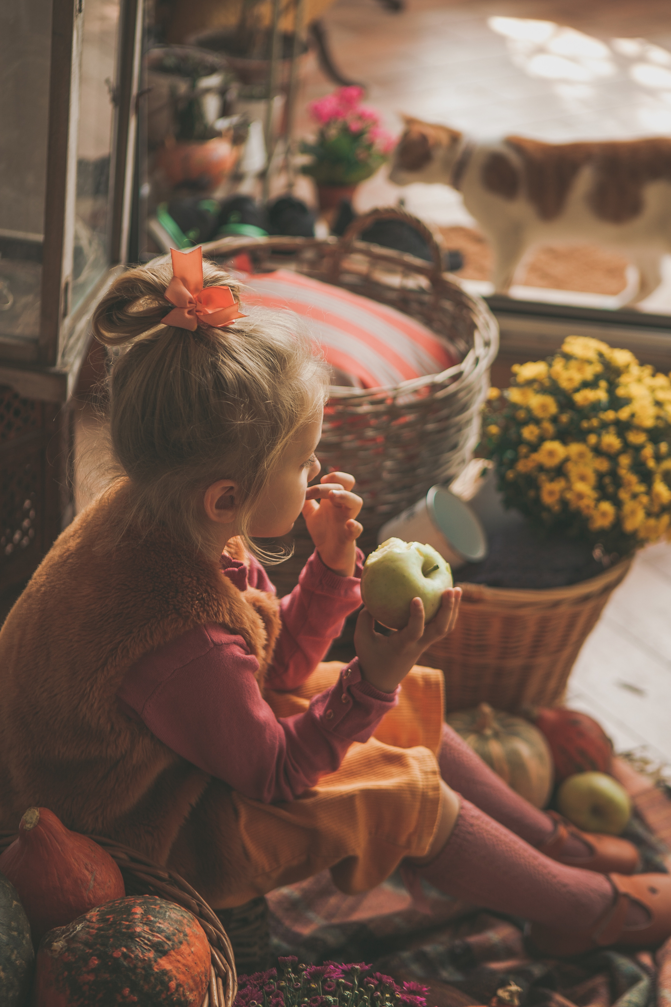 Natale 2022. Professional photographer based in Rome