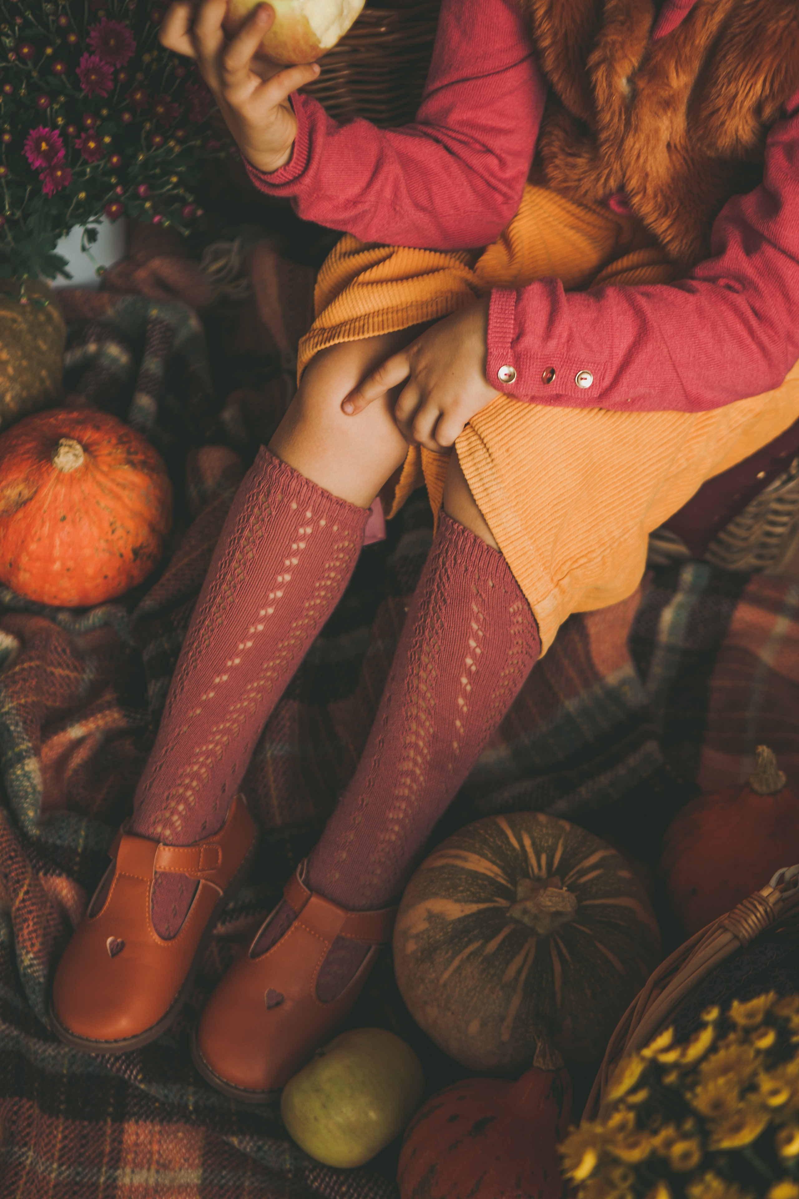 Autumn colors. Professional photographer based in Rome