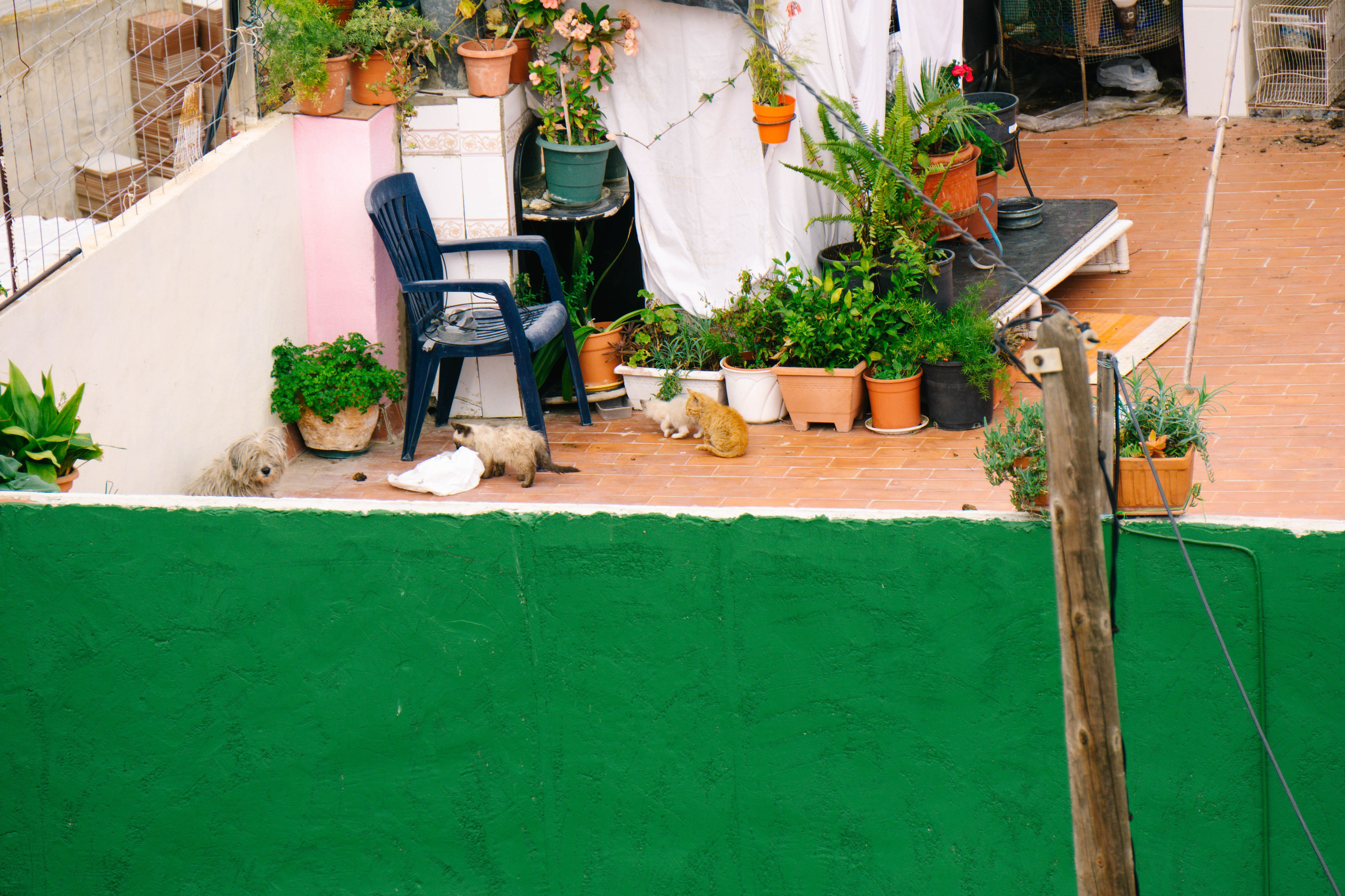 Rojales. Alba del Norte Studio