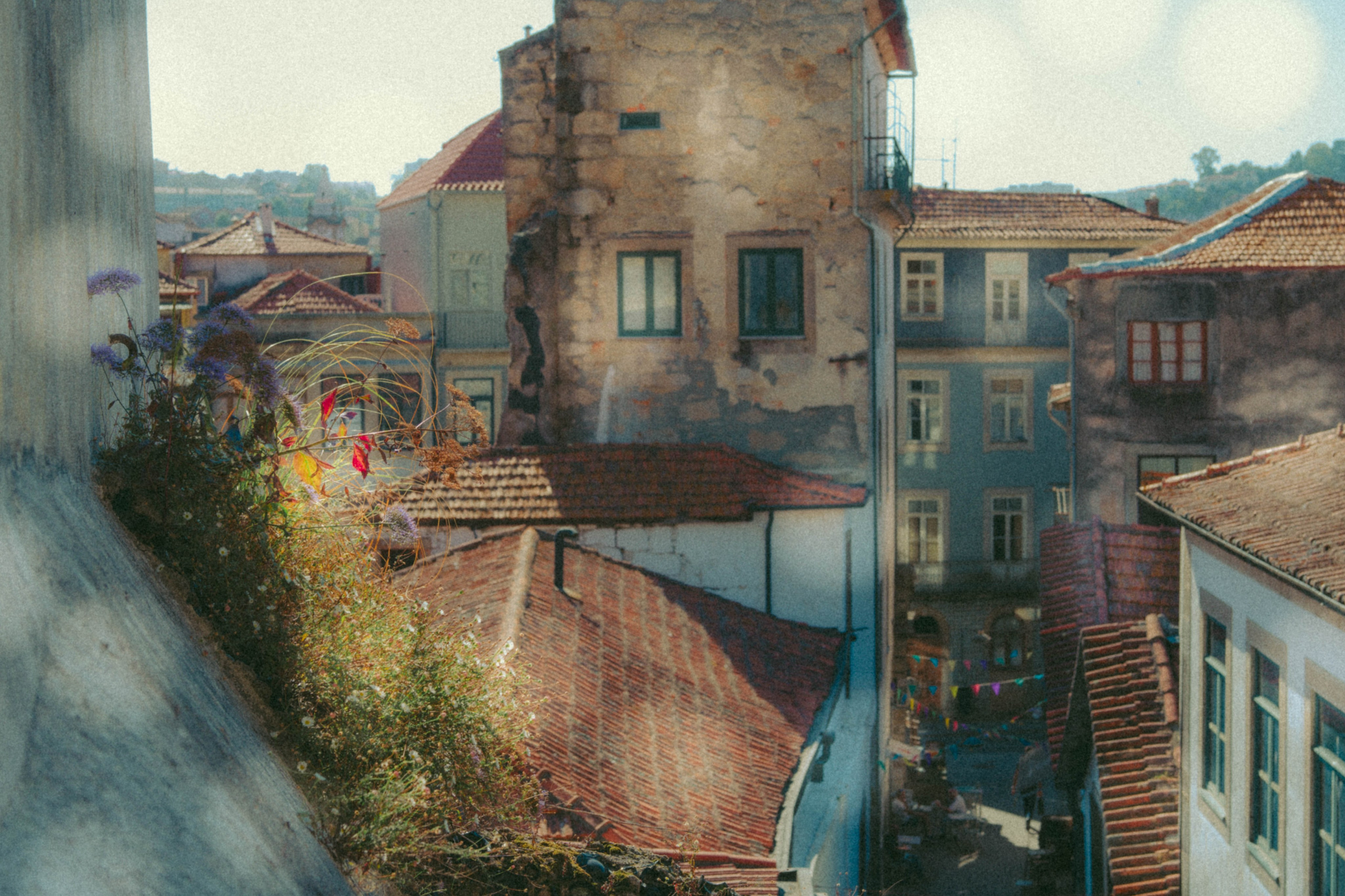 Porto, Agosto 2024. Alba del Norte Studio