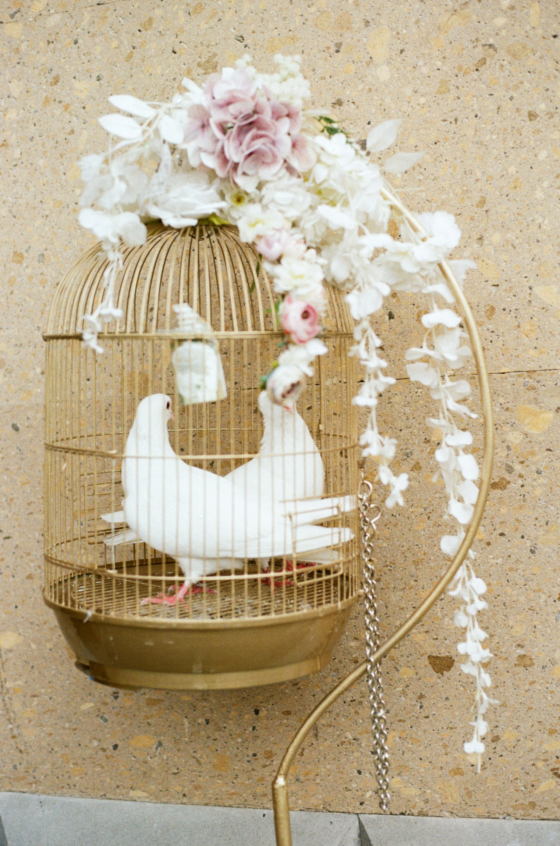 A&E. Ash Hovsepyan Photography | Wedding & Portrait Photographer in Armenia and Europe
