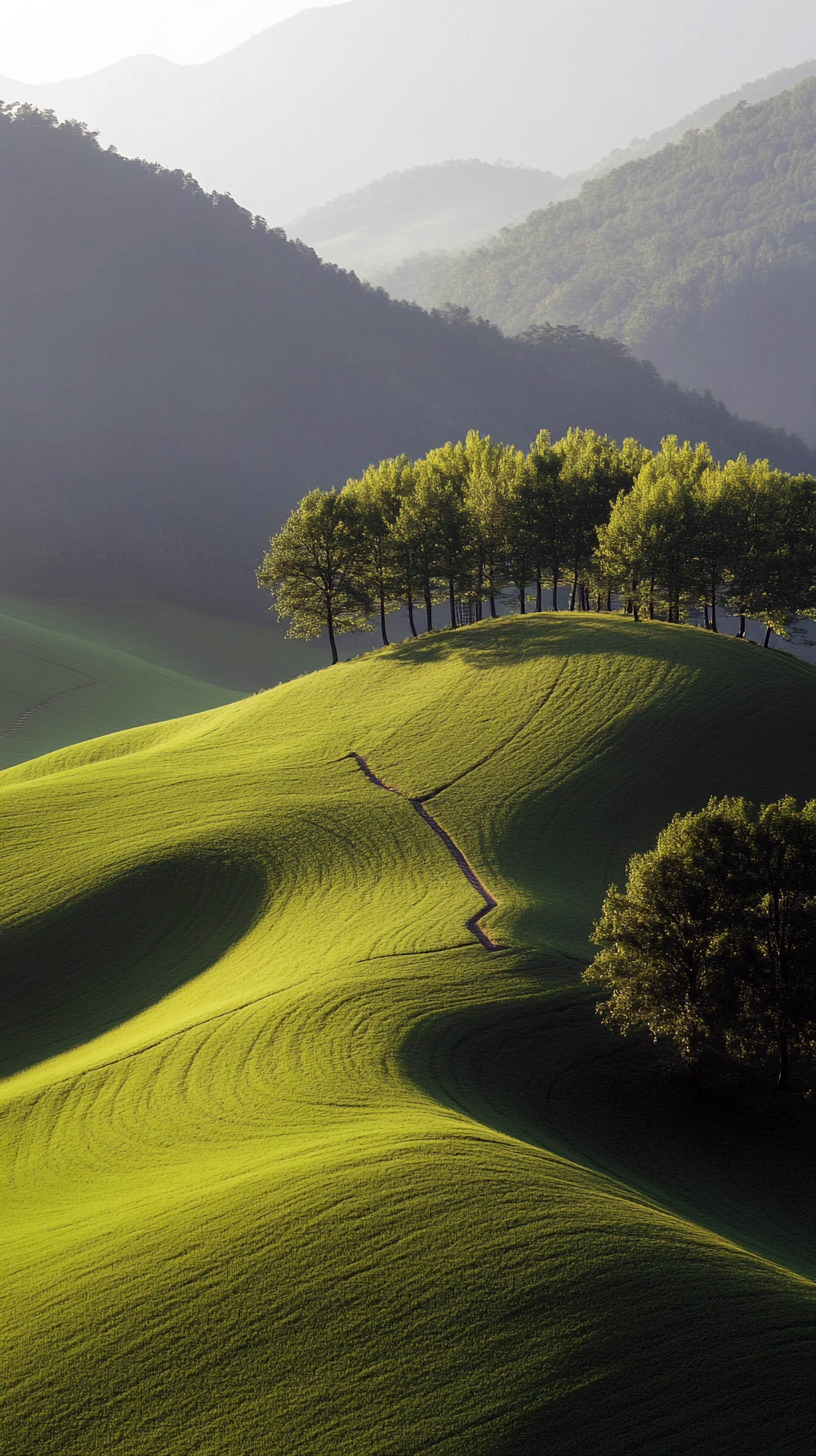 ПЕЙЗАЖ ФОТО СОЗДАНОЕ НЕЙРОСЕТЬЮ. LUKIN IGOR Photography
