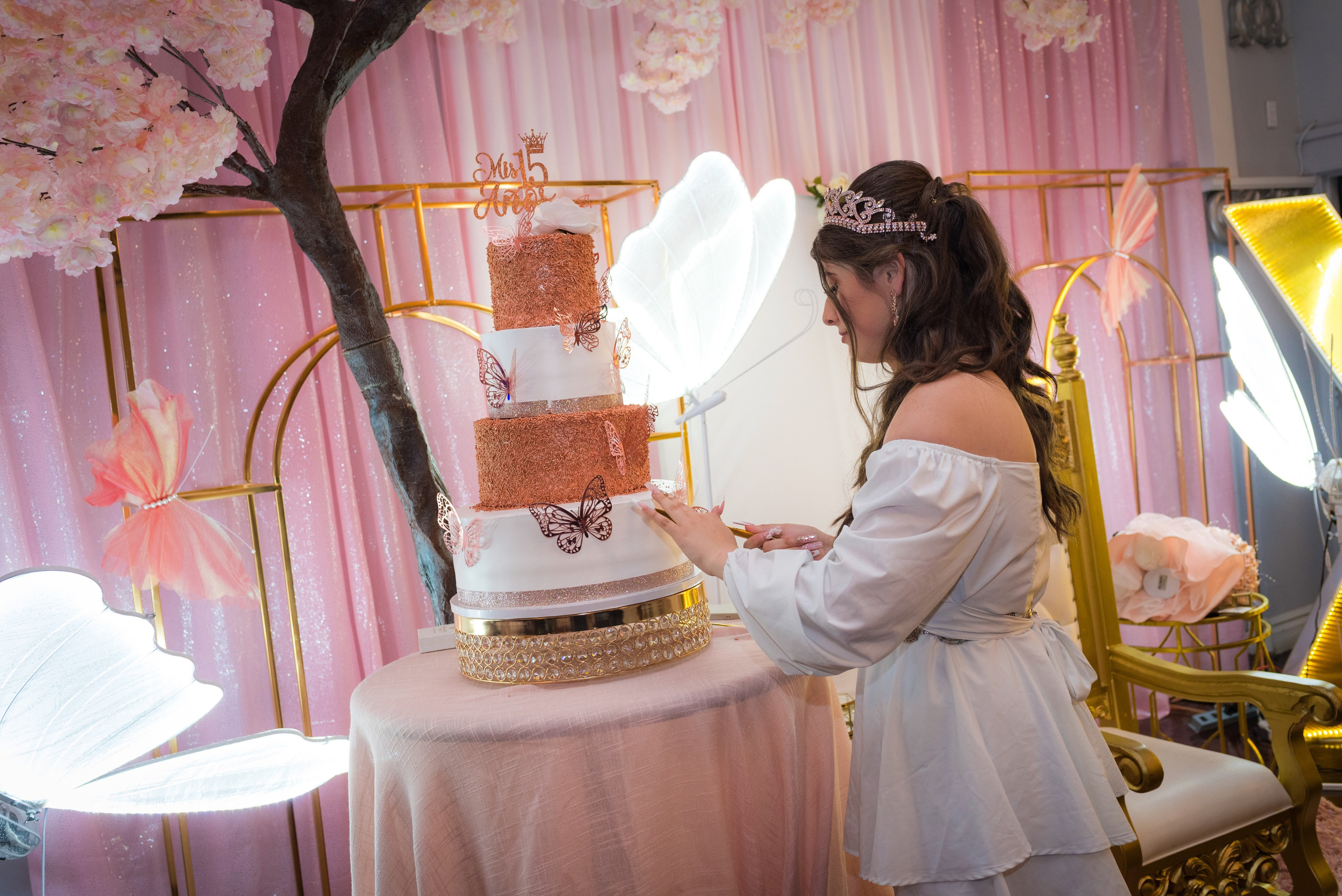 Colección: Nataly Mis Quince años