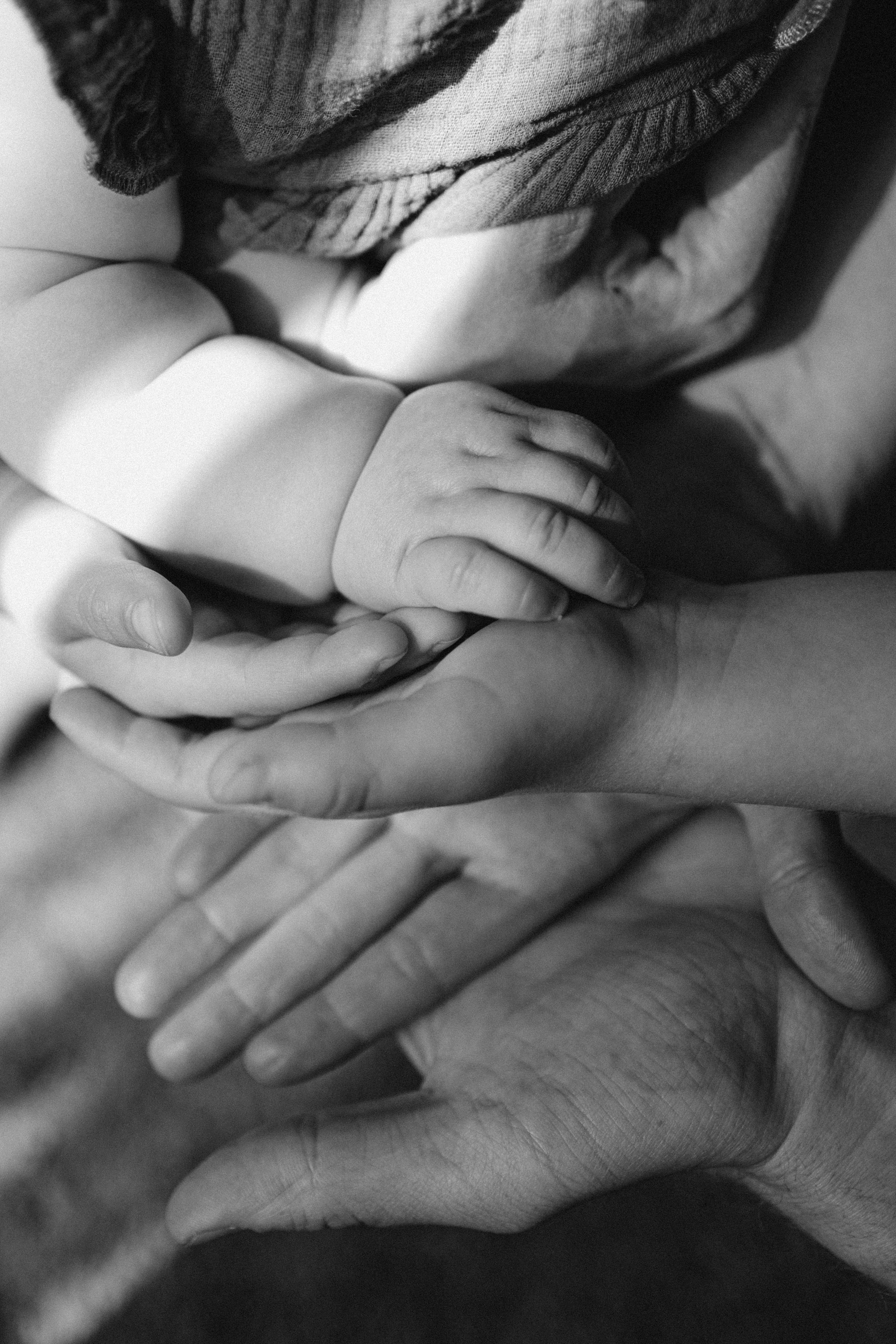 MONTAS ģimene. GALVENĀ