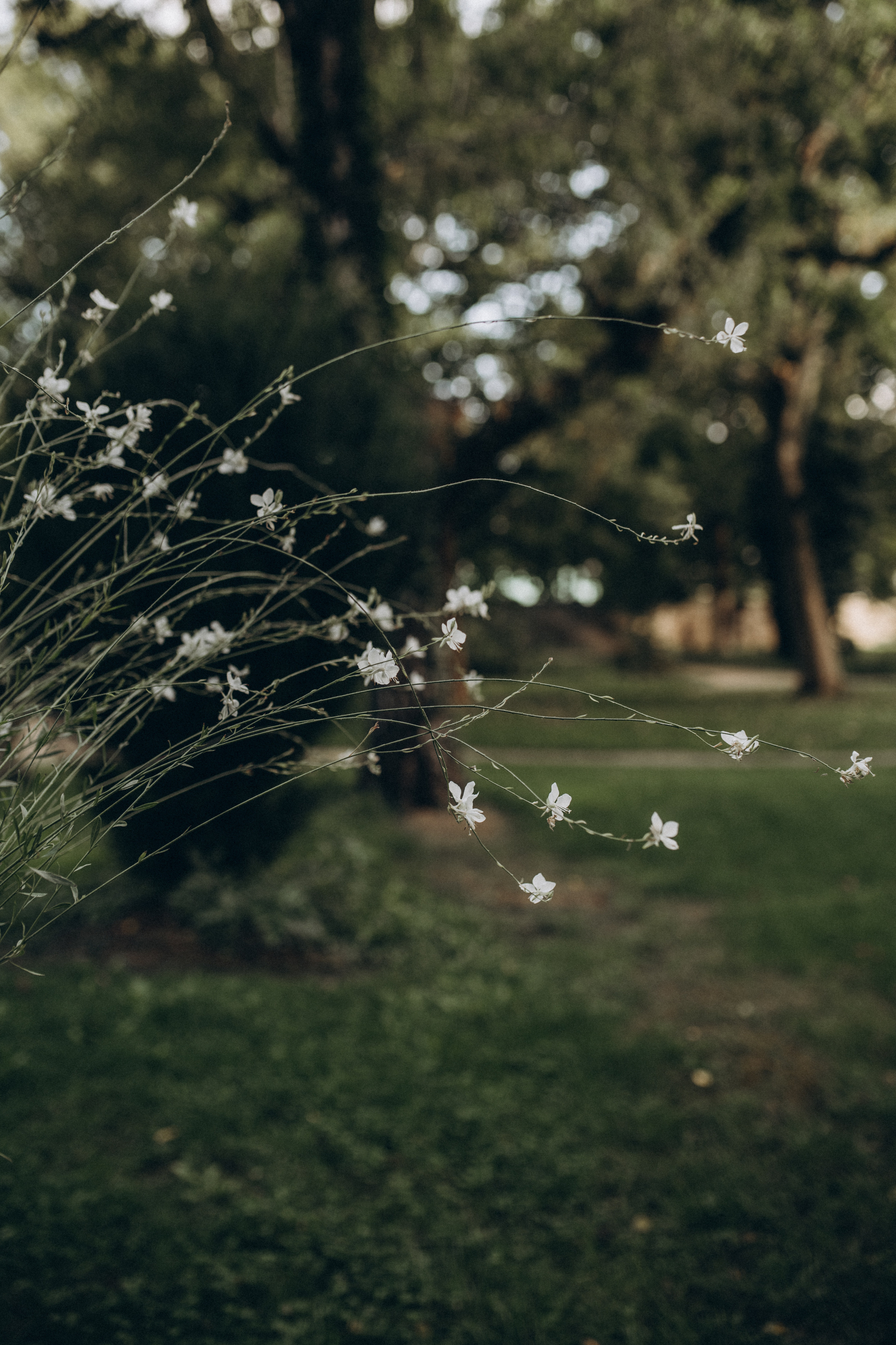Hochzeitstag in Würzburg. Anna Saribekyan – Beste Hochzeitsfotografin in Würzburg, Top 10 in Deutschland