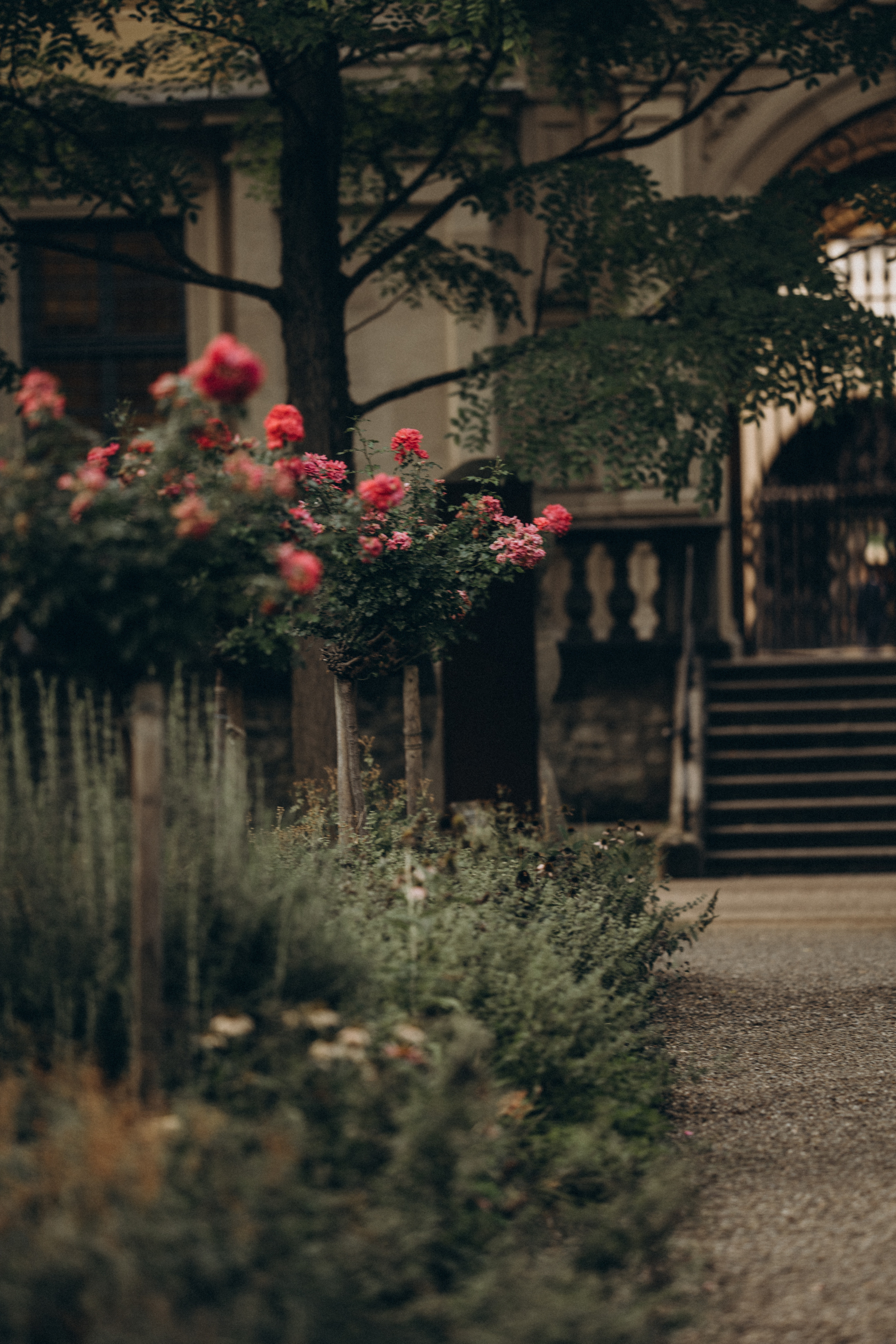 Hochzeitstag in Würzburg. Anna Saribekyan – Beste Hochzeitsfotografin in Würzburg, Top 10 in Deutschland