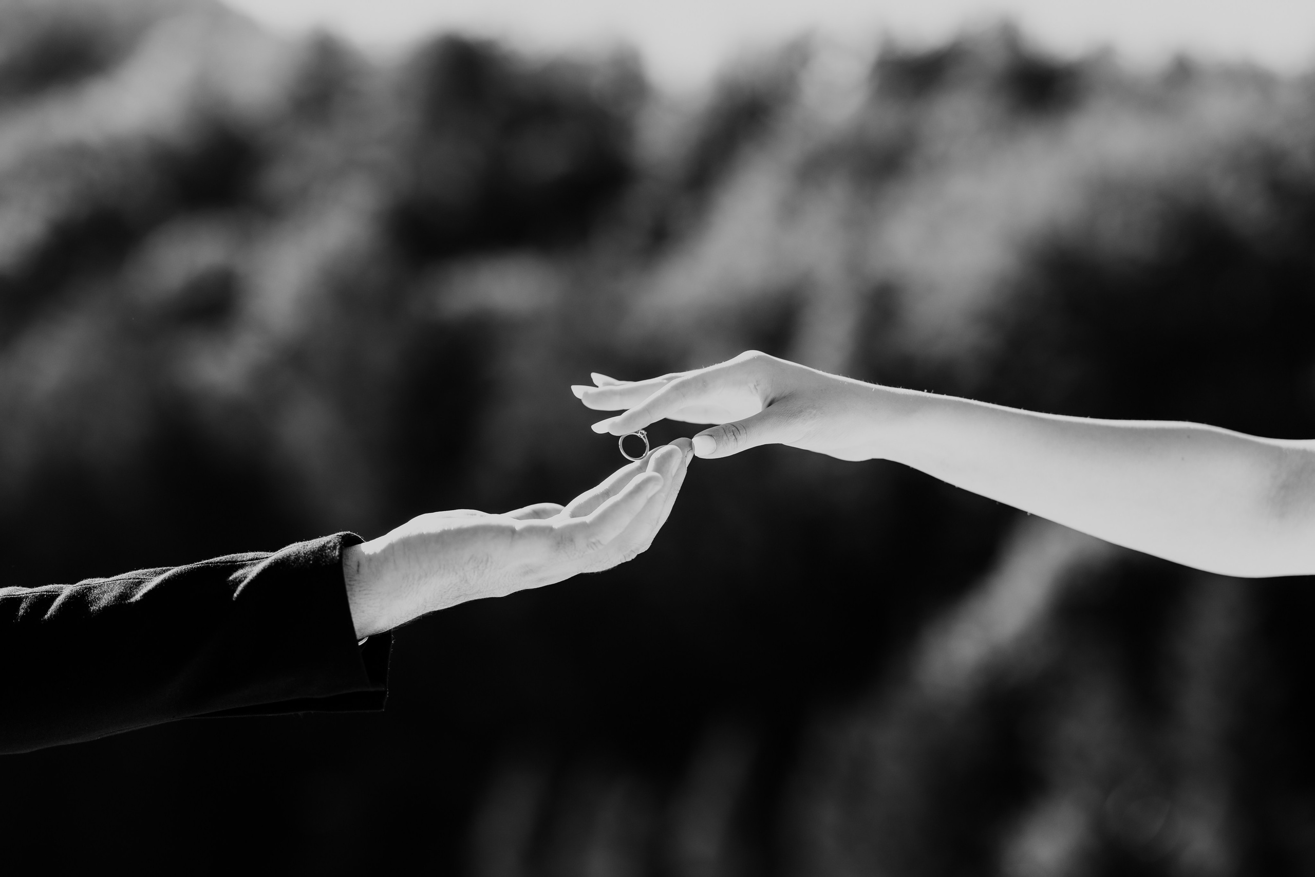 Ședință foto cununie civilă în Slănic Moldova | Larisa & Vlad