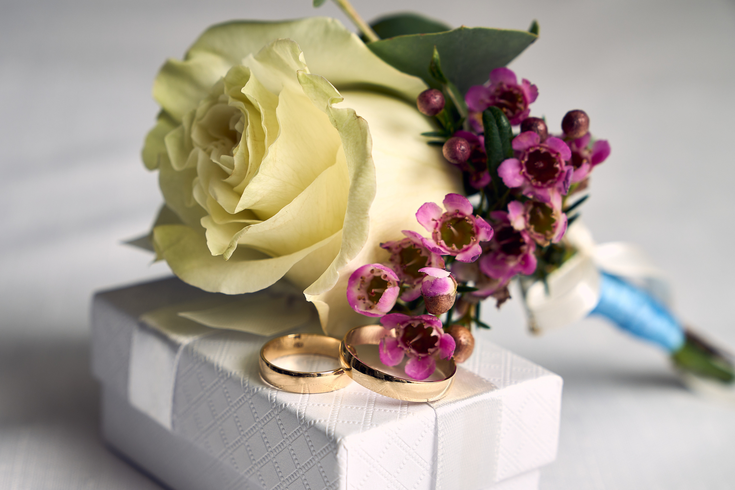 Svadobny fotograf svadobny fotograf cena kameraman na svadbu cena. Fotograf kameraman na svadbu Bratislava Banská Bystrica Сelé Slovensko svadobný kameraman