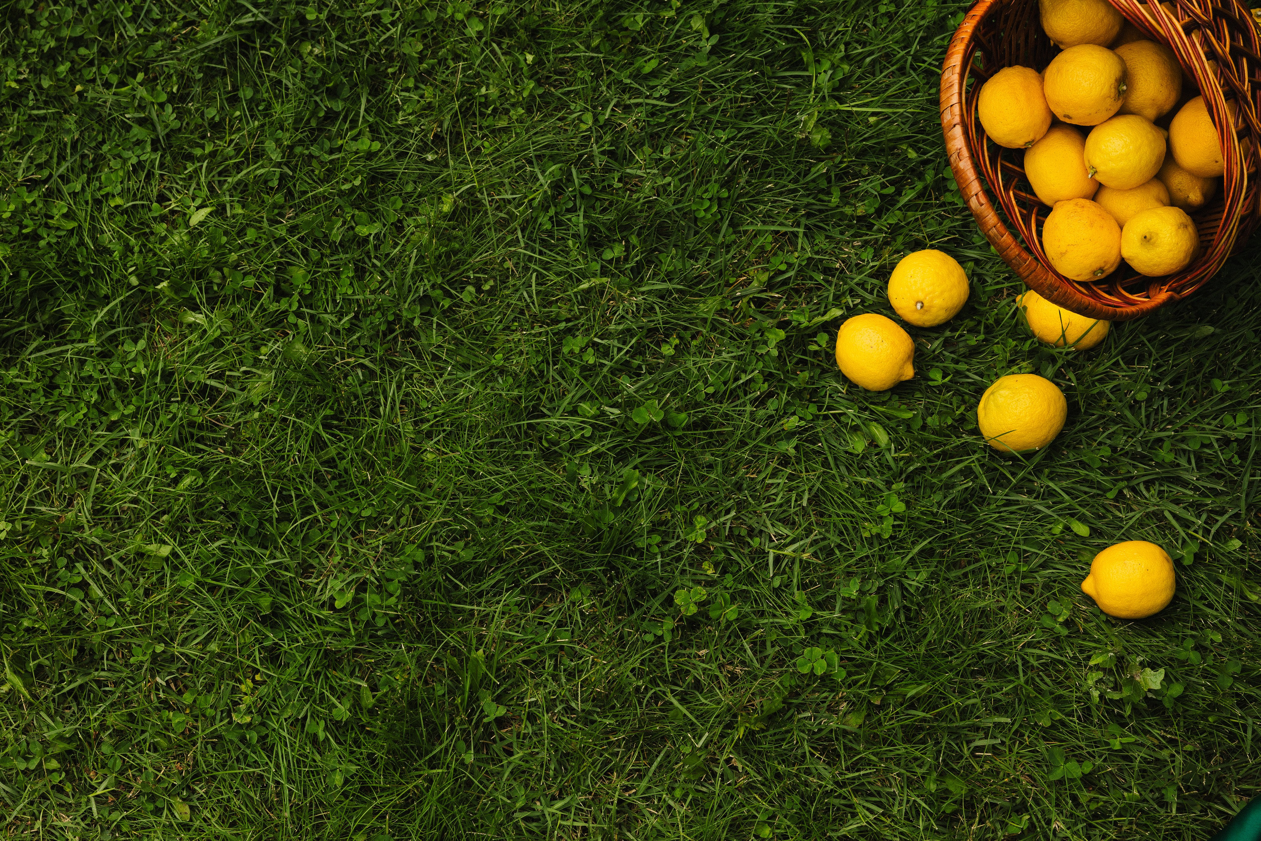 Алмаз и Алина. Азимжан Нуритдинходжаев — свадебный фотограф