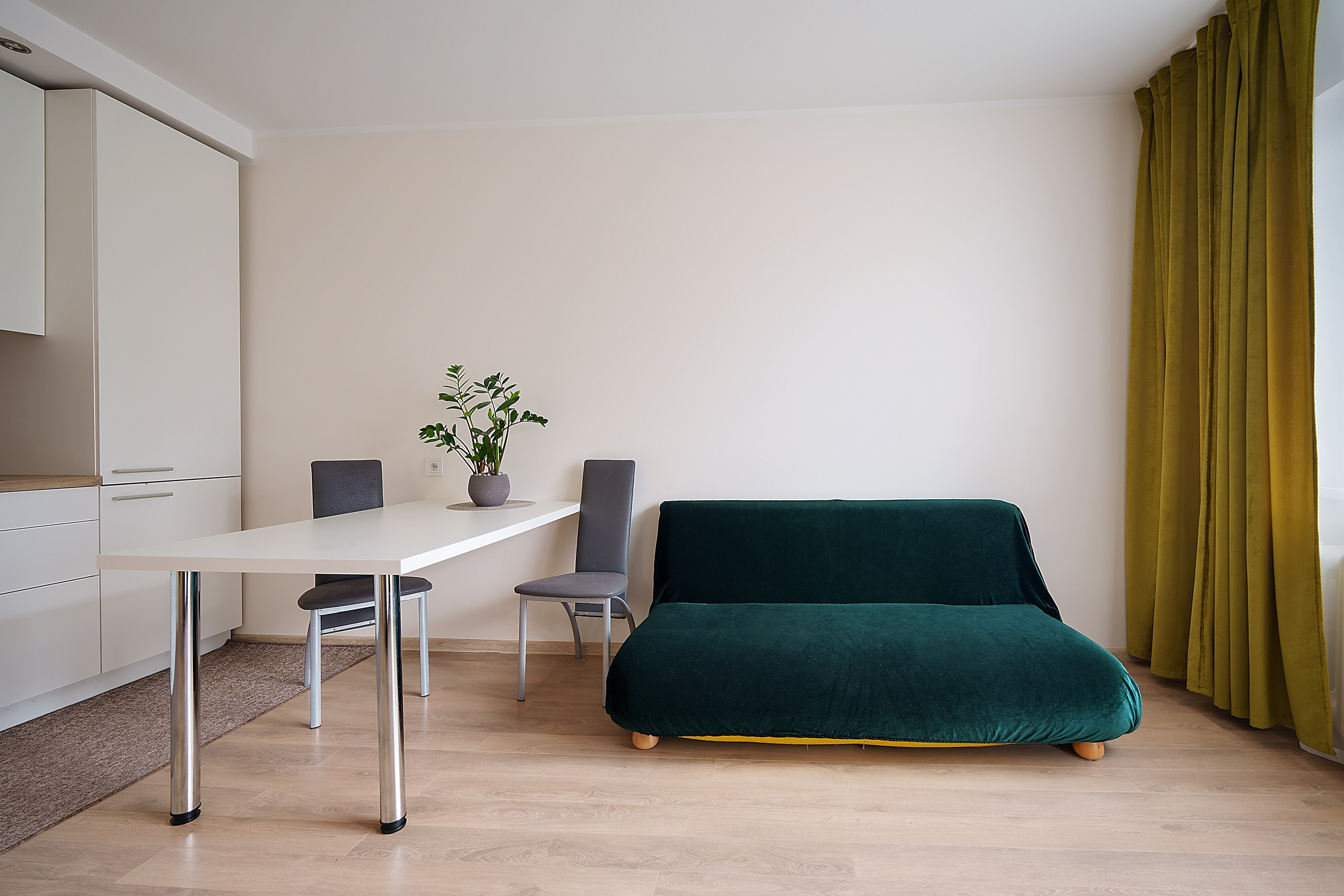 Stanevičiaus g. 64. Elina Sapiega fotografė Vilniuje