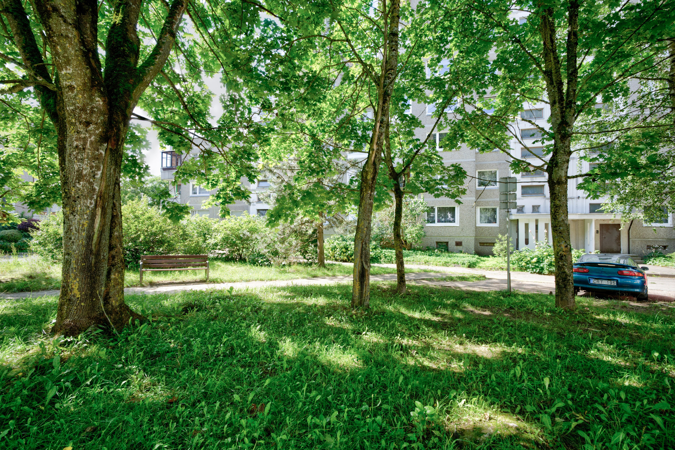 Gabijos g. Elina Sapiega fotografė Vilniuje