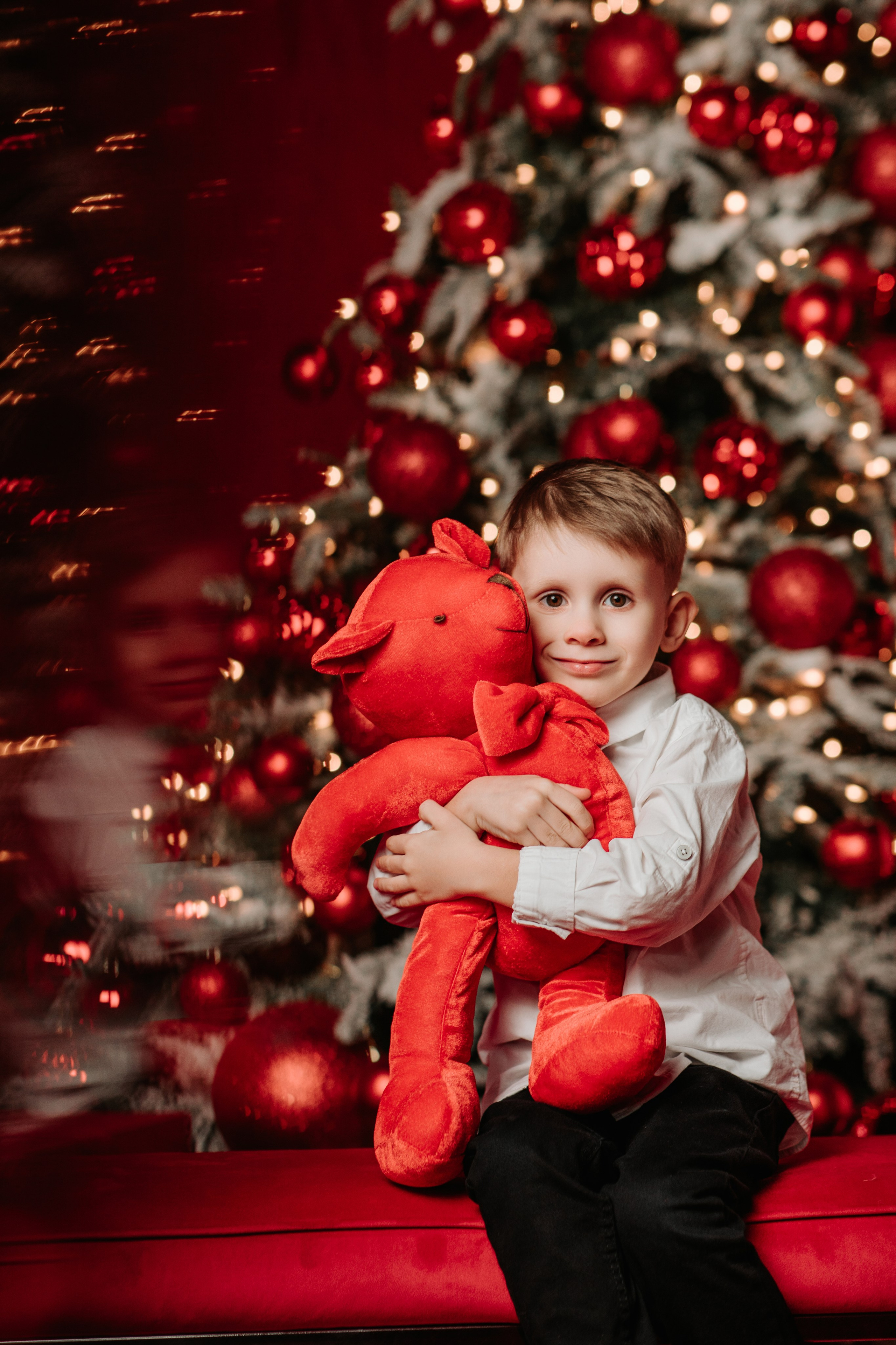 Christmas Time. Wedding, Family Photographer