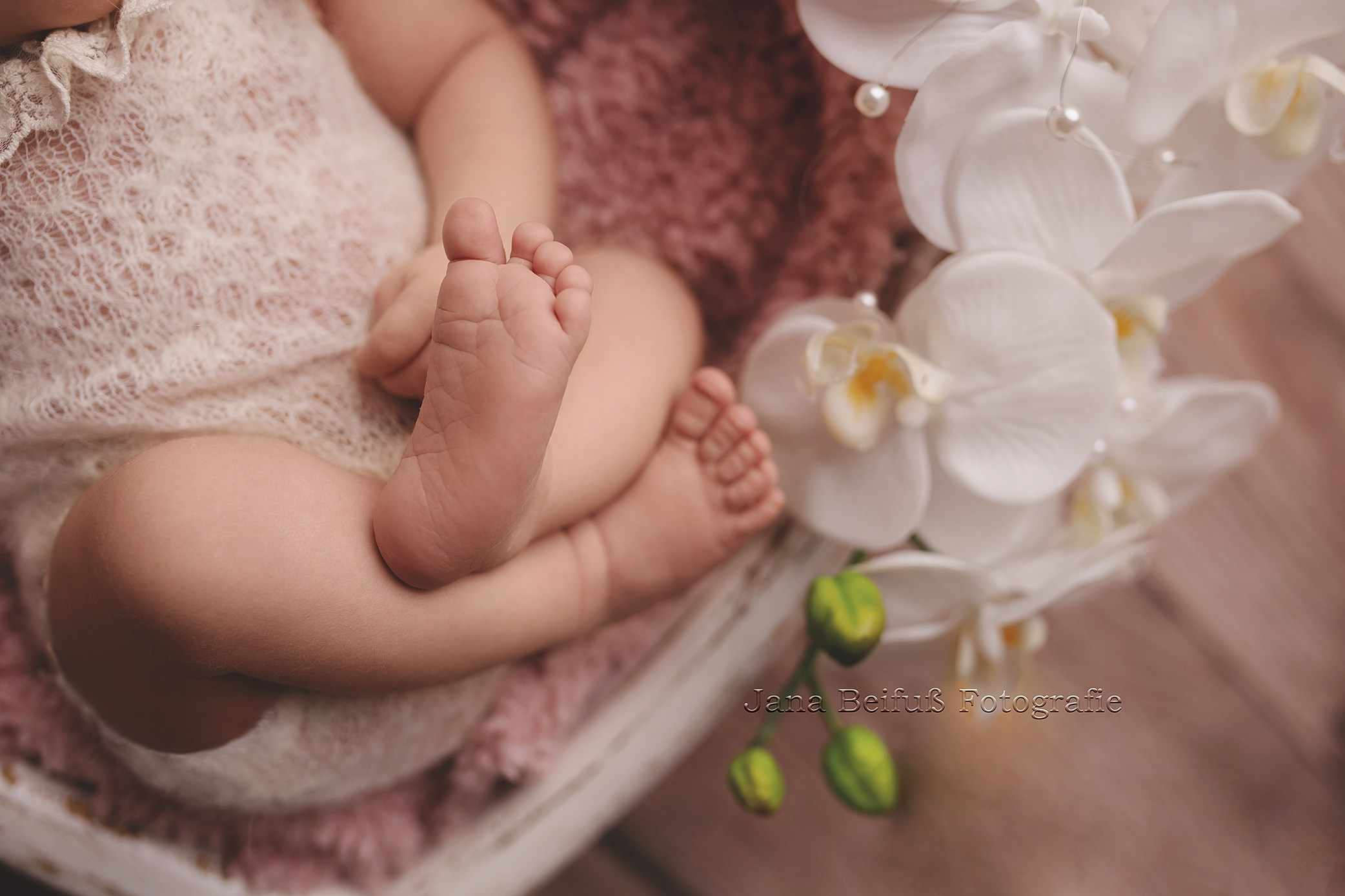 Neugeborenenshooting Weißenhorn, Neugeborenenshooting Ulm, Babyfotograf Ulm, Babyfotograf Senden, Babyfotograf Neu-Ulm Jana Beifuß Fotografie