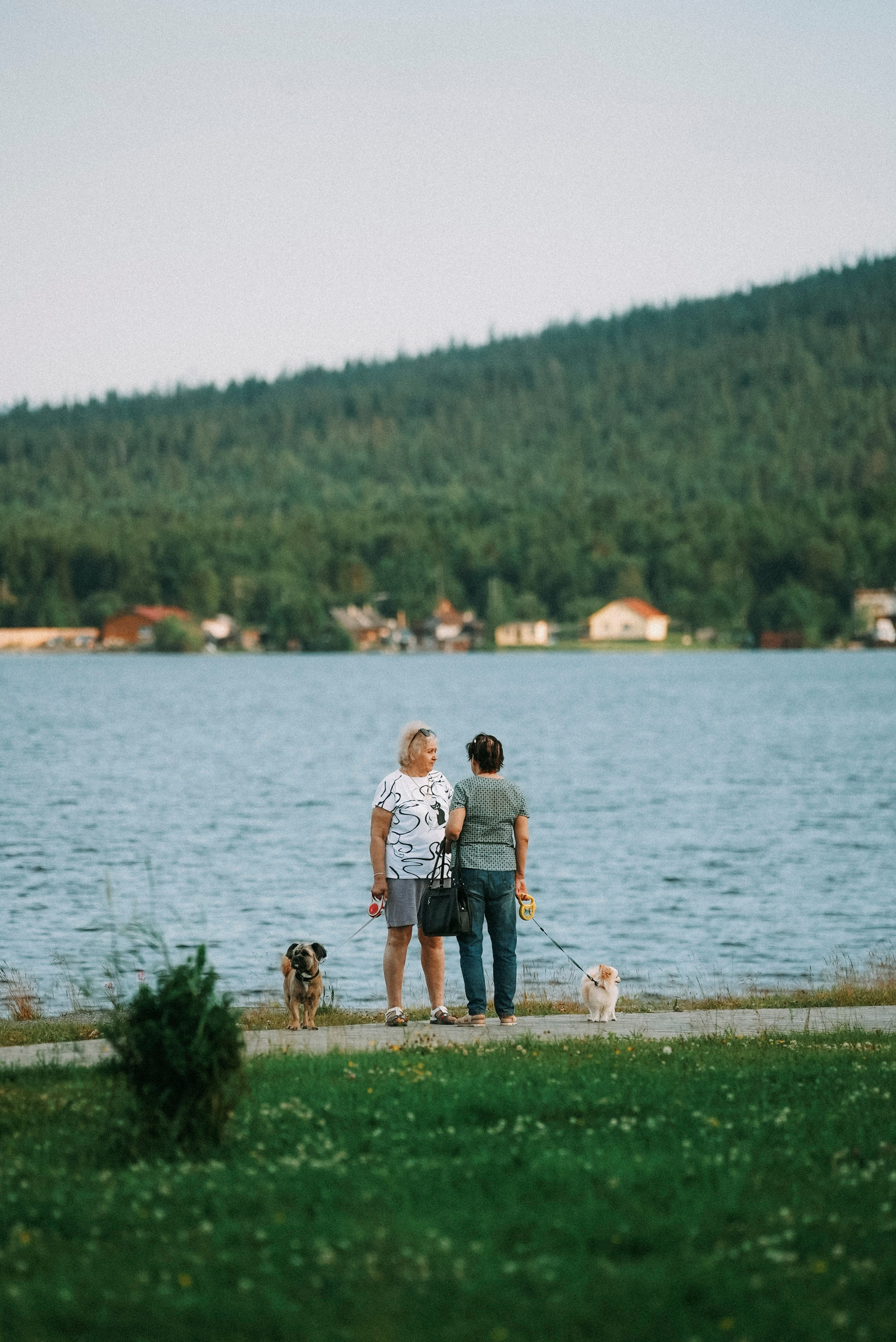 2025. Стрит-фотография, полная абсурда, идиотизма и красоты