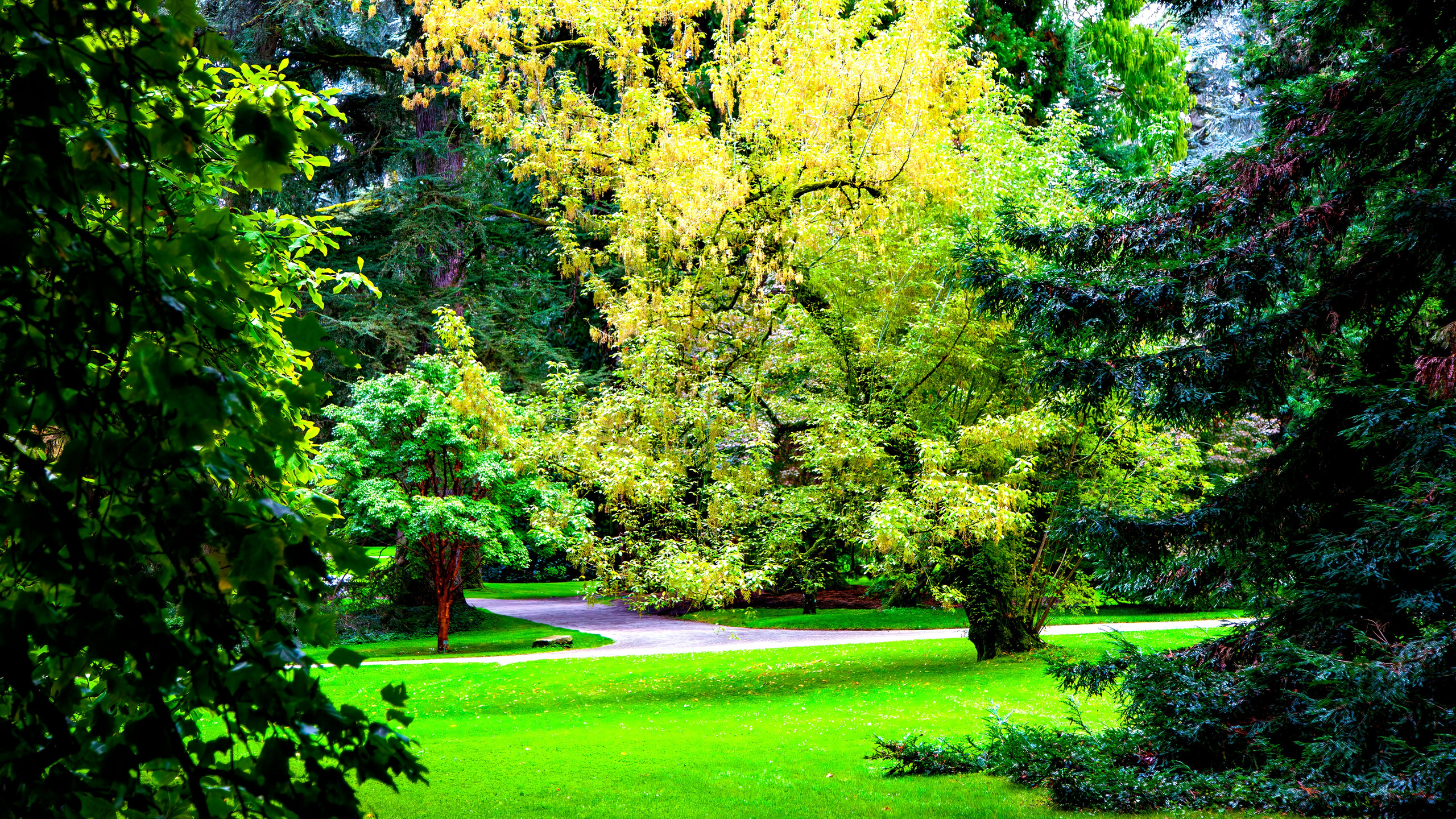 187.Mainau.Germany.24.9.2024. Путешествия в формате 360......