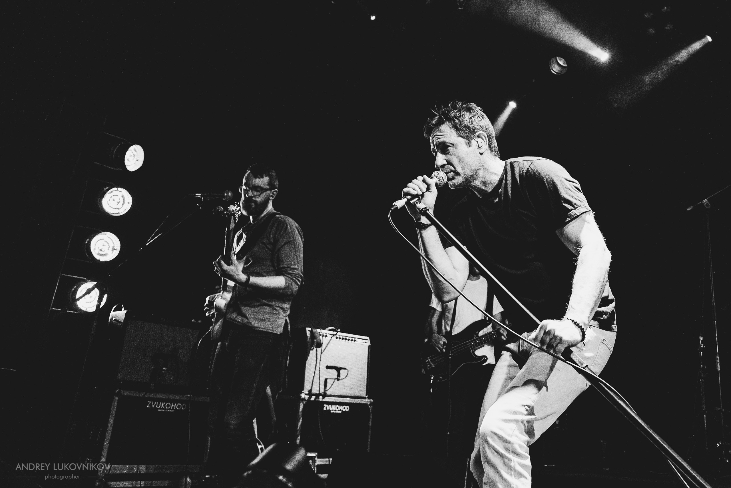 David Duchovny. Every Third Thought Tour | Concert photography