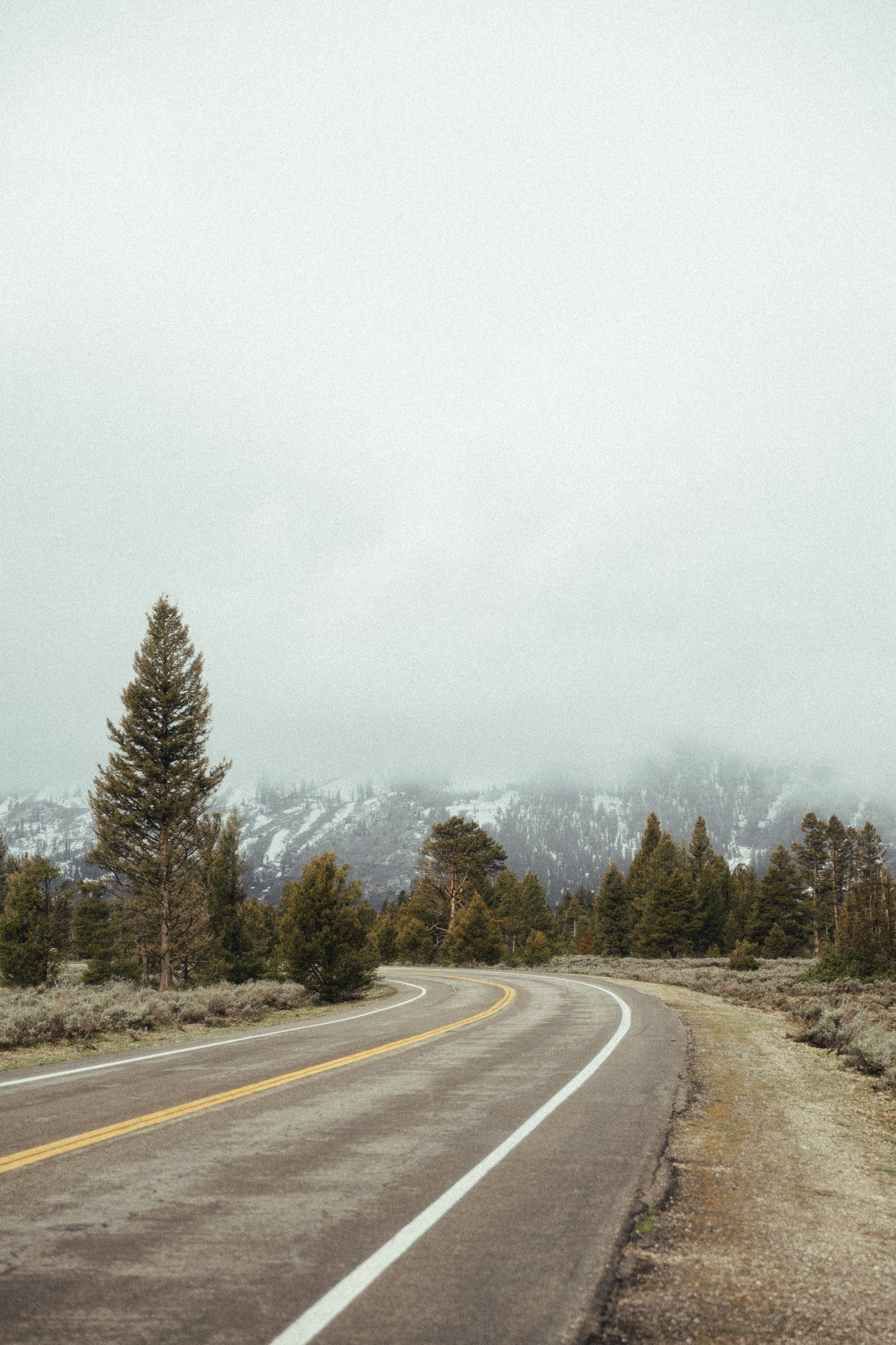 Colby & Hailey | Elopement at Grand Teton