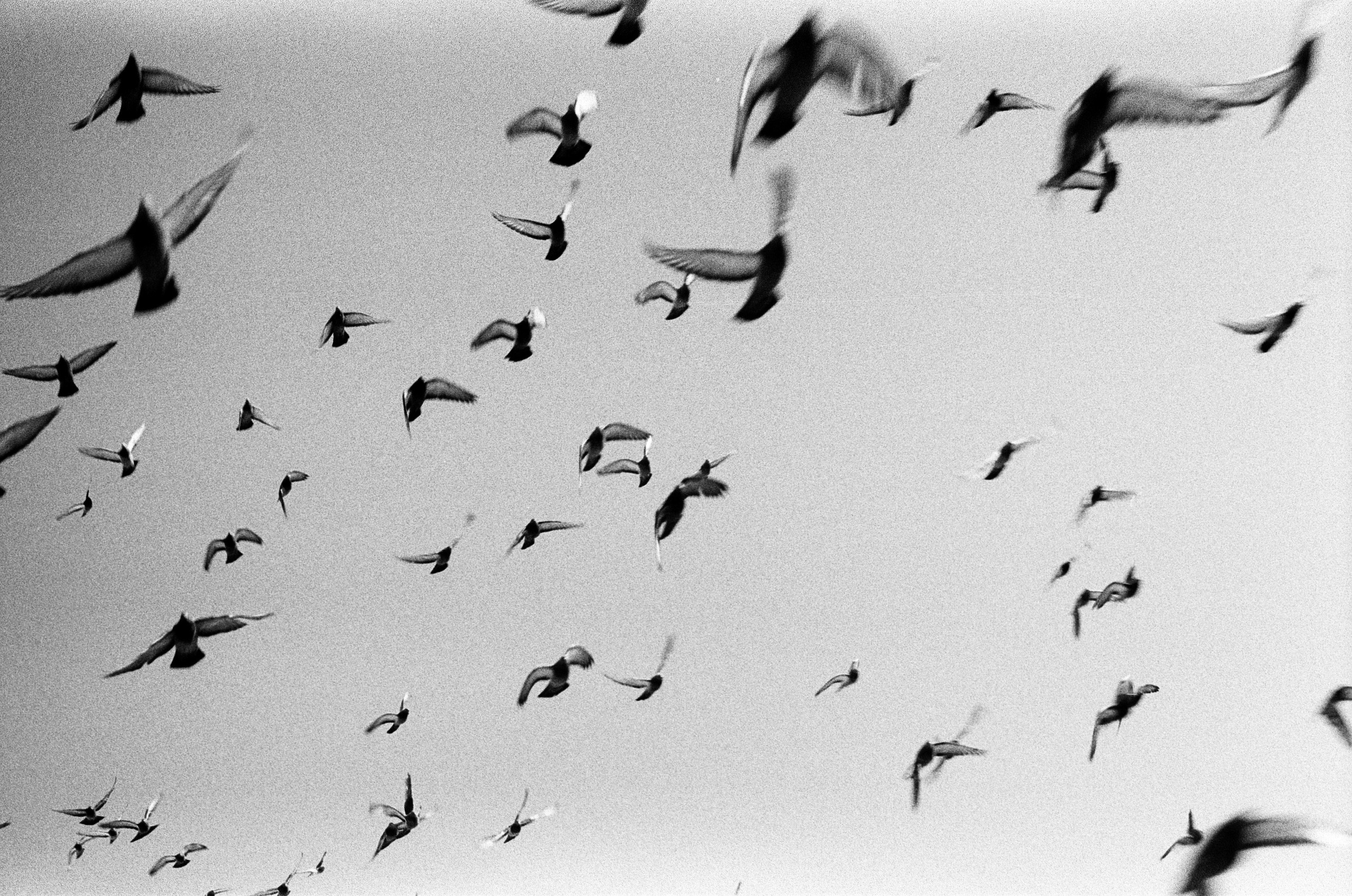 Вологда Архив. «Фотохроники»