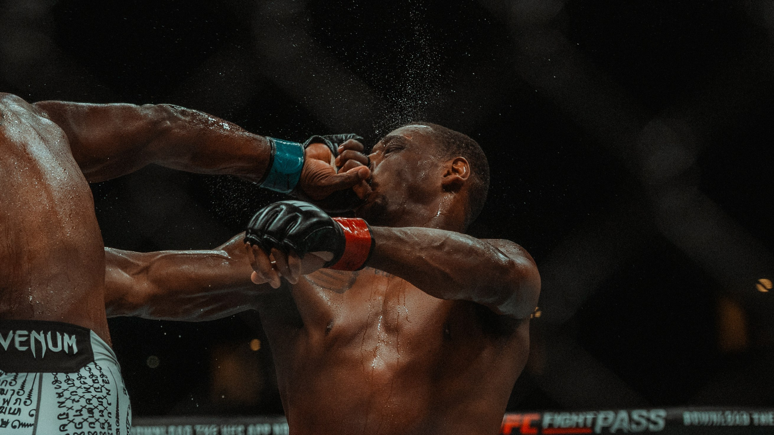 UFC. Commercial and Event photographer Eltaj