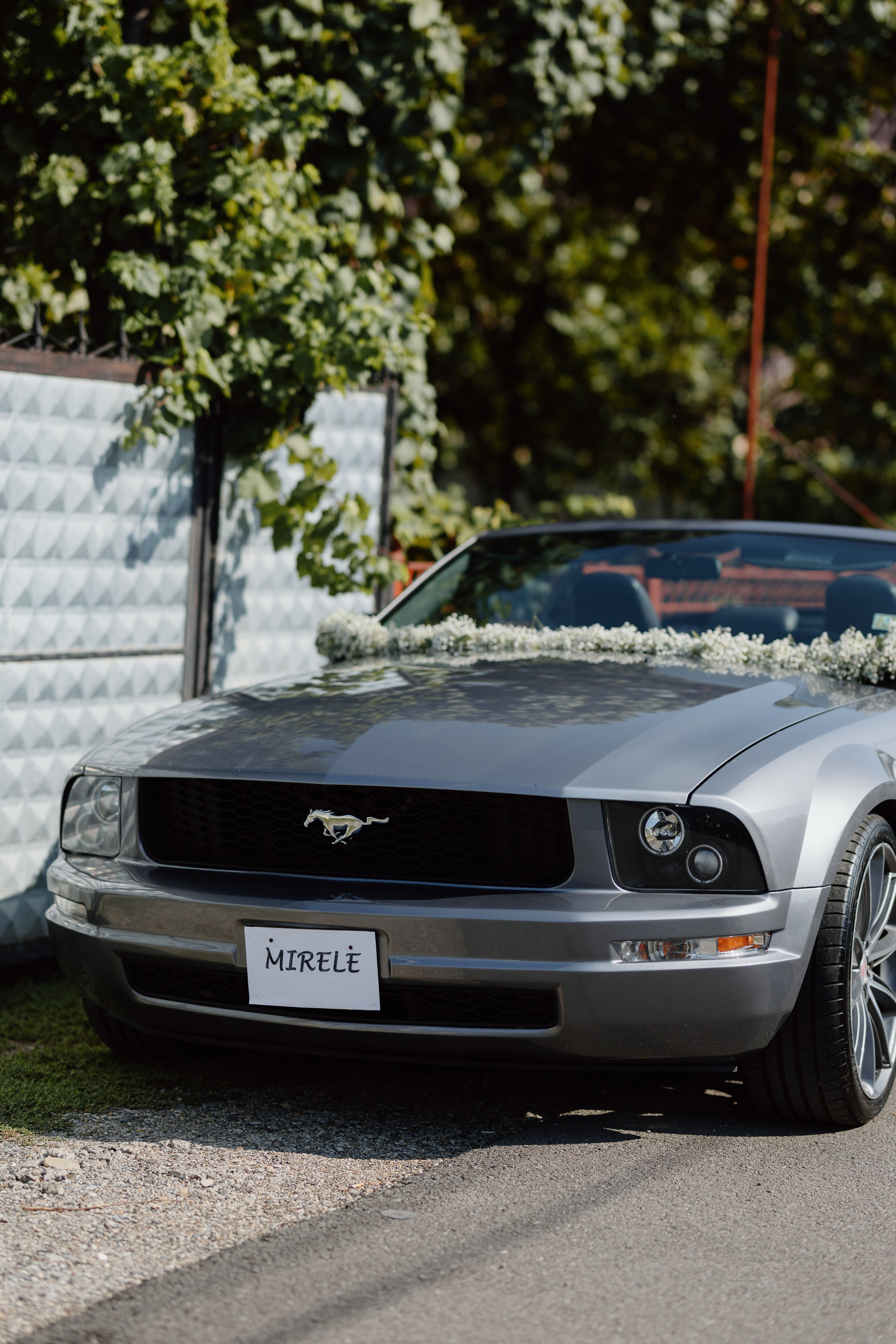 Iustin & Fabiana. Main