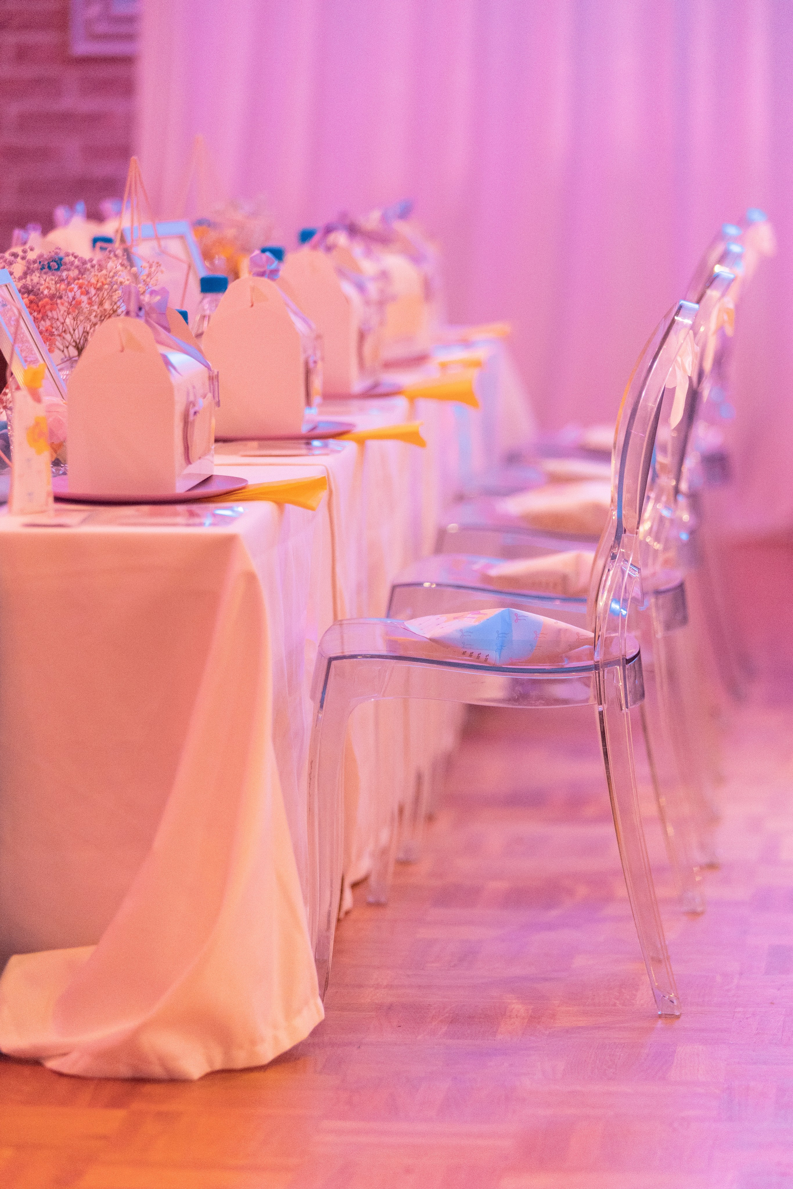 1 st Birthday. Portrait and Family Photographer in Netherlands