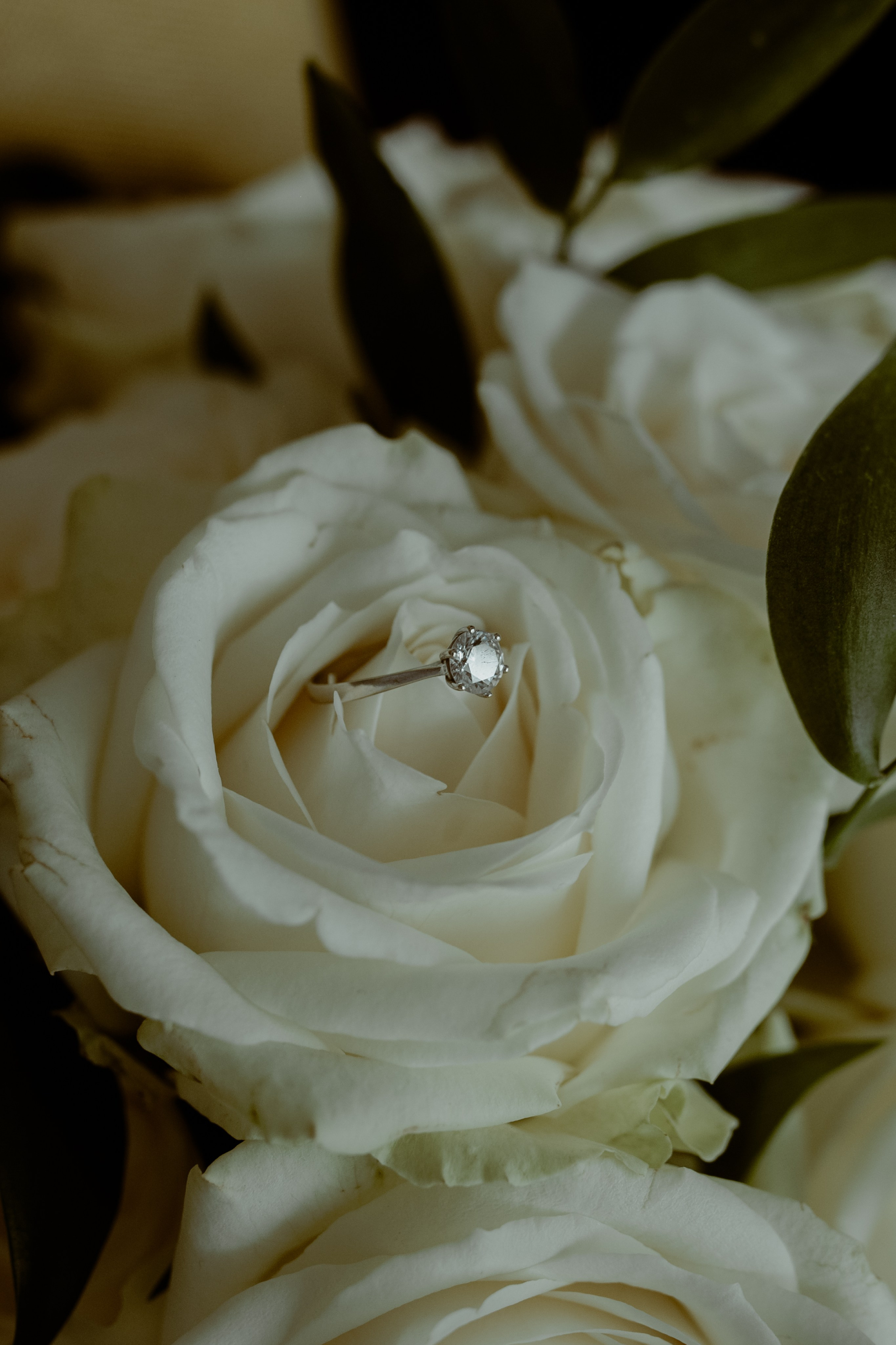 K&N. Wedding & Family photographer Jelena Anđelić