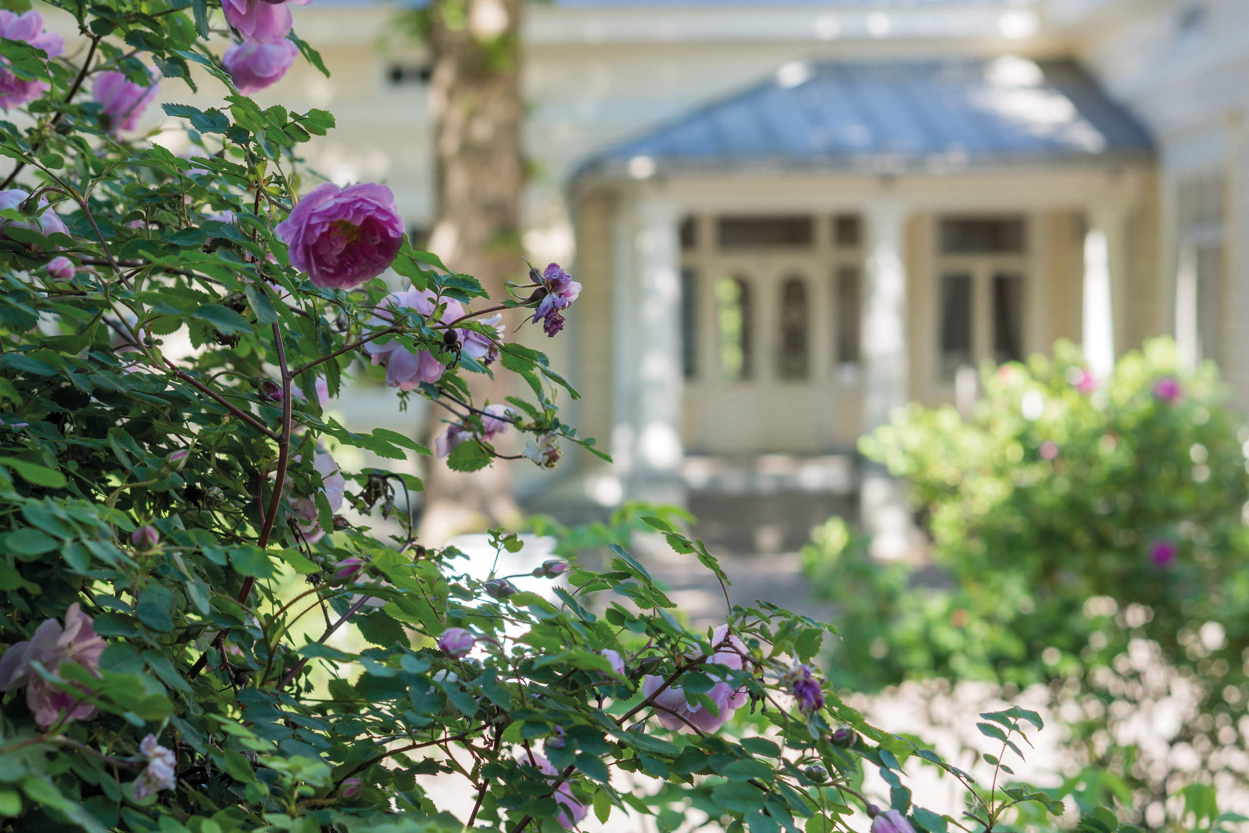 Restaurant Hus Lindman. Anna Z commercial photographer and graphic designer based in Turku