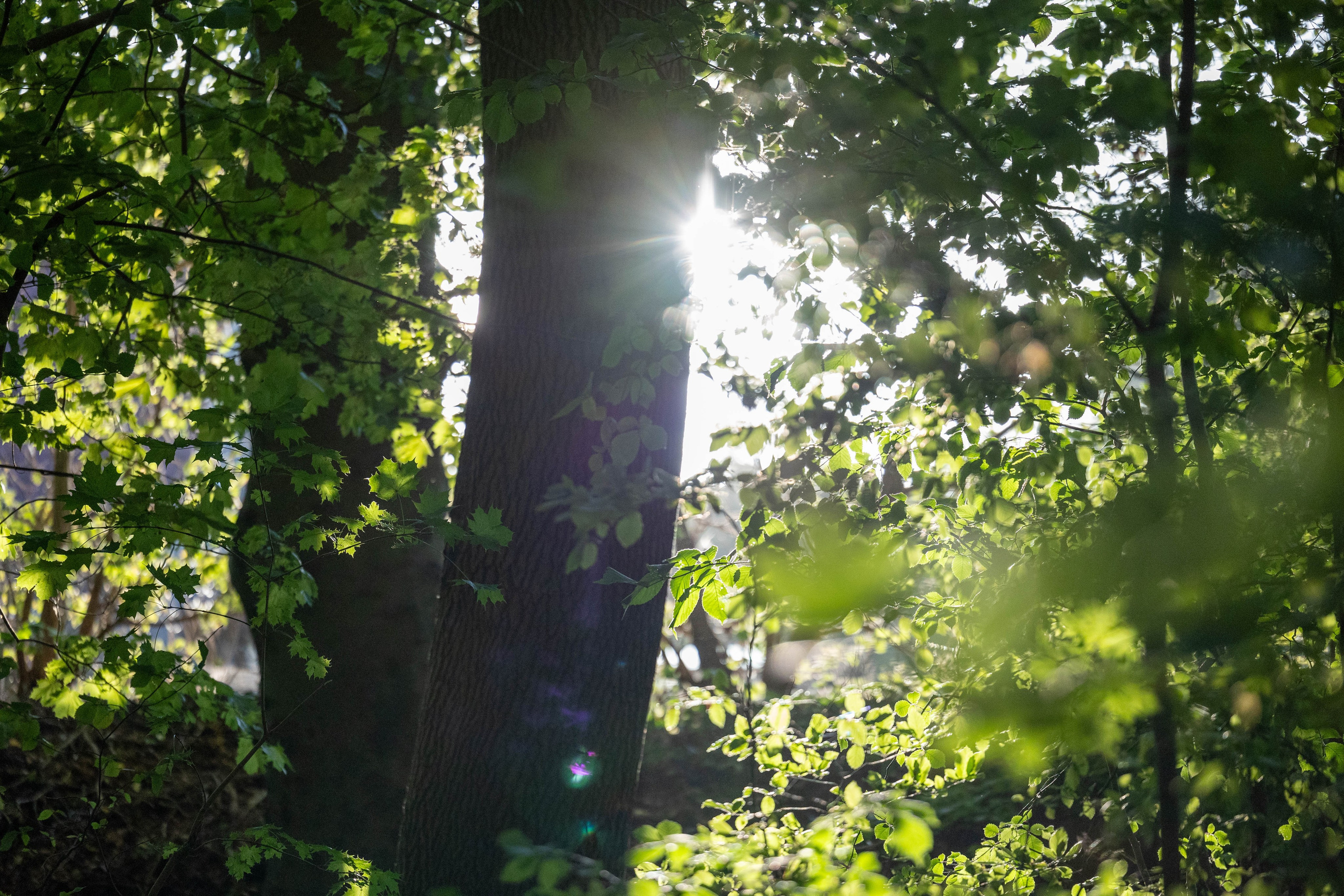 Efterår. Fotograf Aarhus | Portrætfoto Århus | Flotte billeder