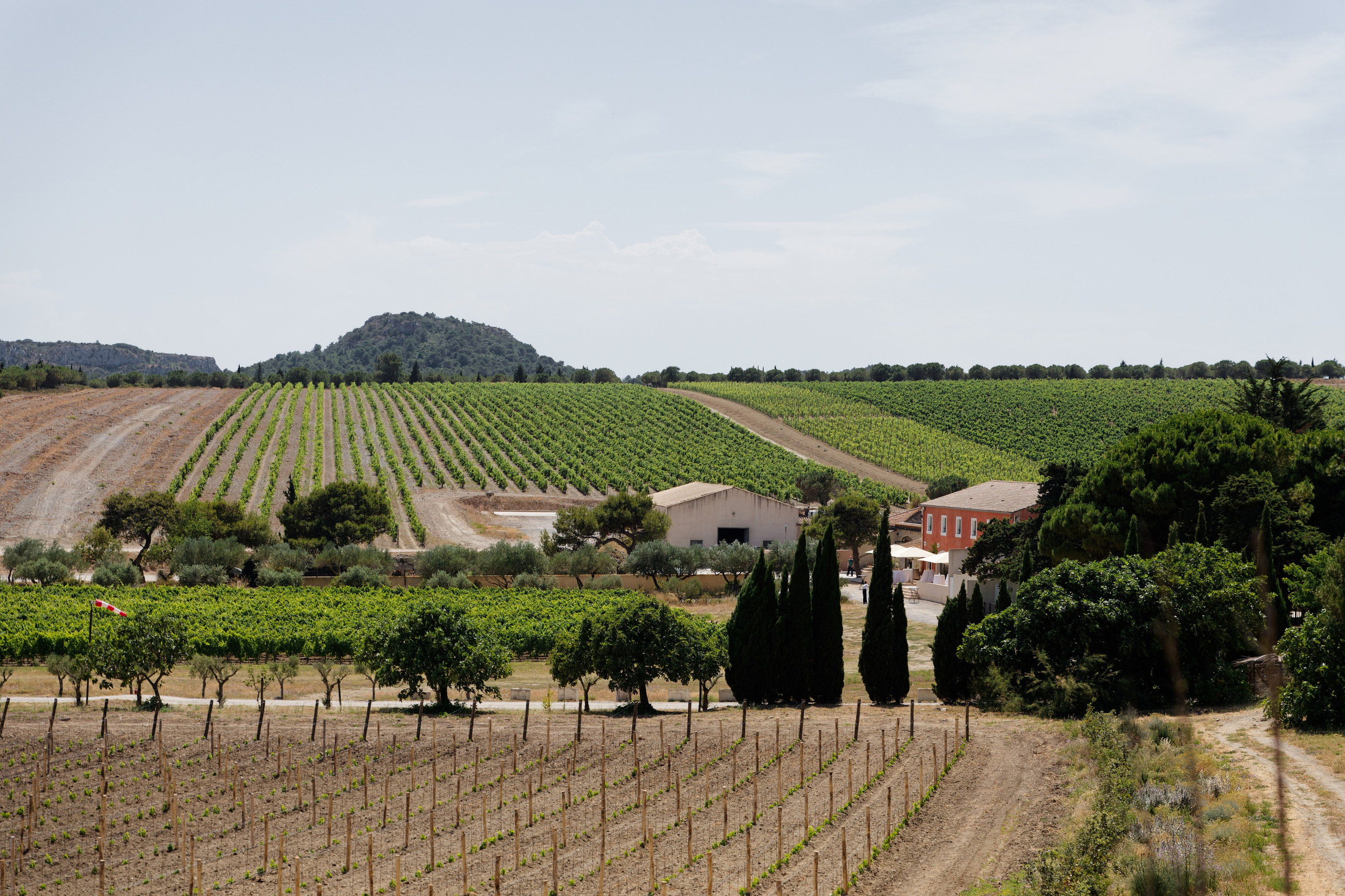 Wedding at Château L’Hospitalet in Narbonne, France. Destination Wedding Photographer — Nikita Burtsev