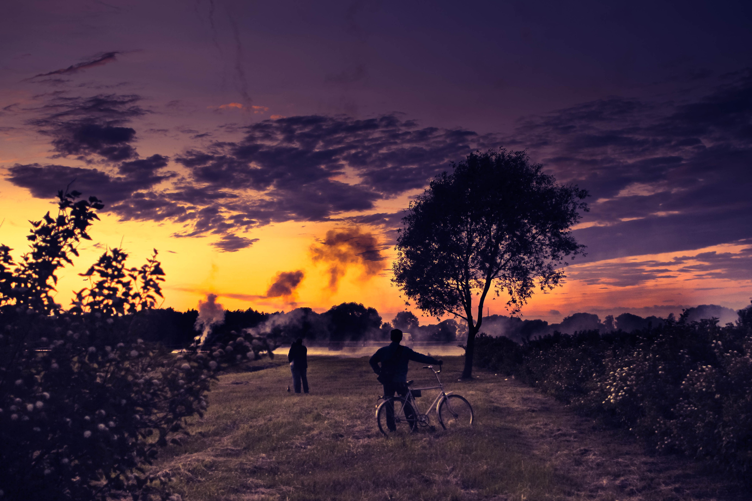 2011. Стрит-фотография, полная абсурда, идиотизма и красоты