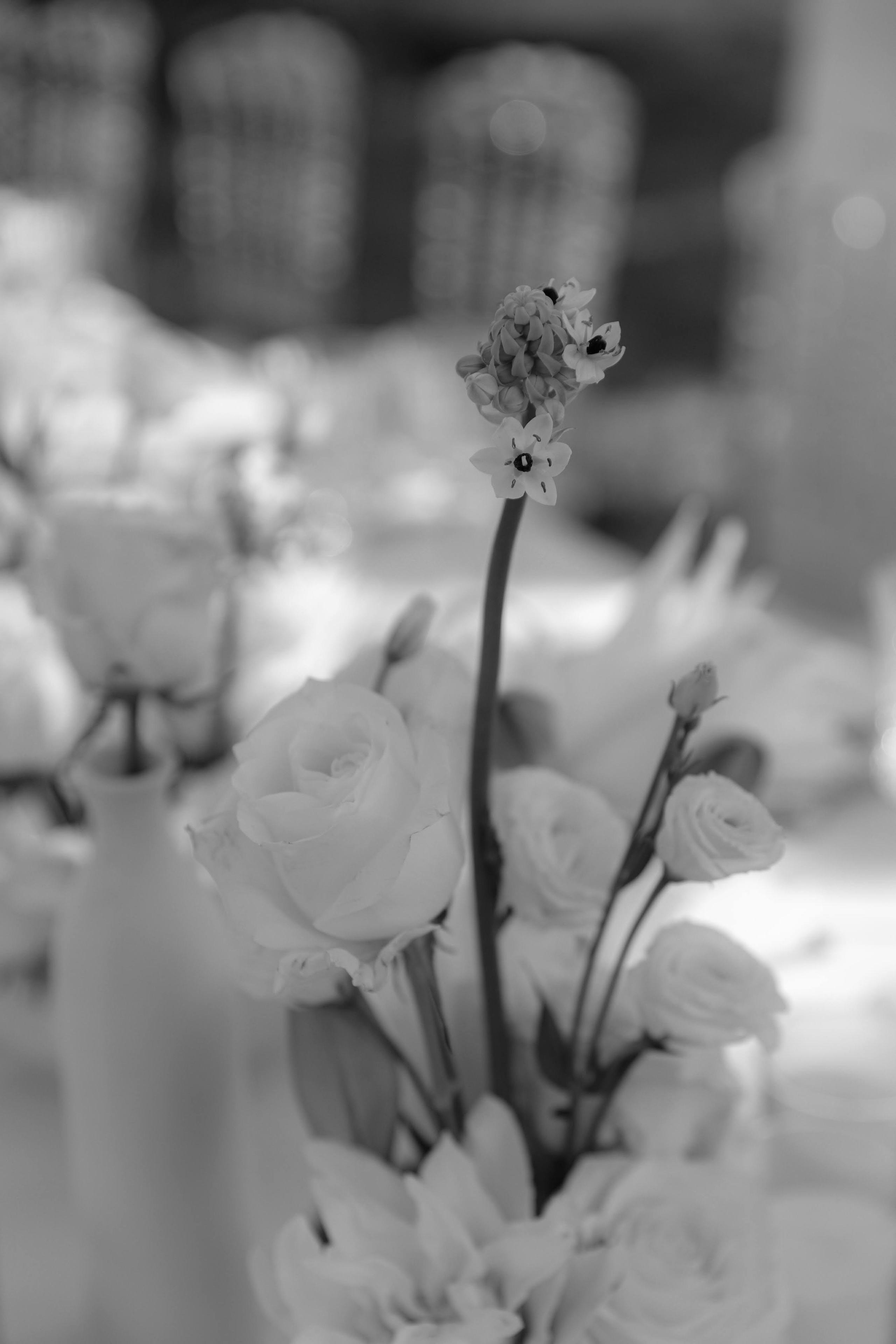 Портфолио. Свадебный фотограф Анастасия Биктимирова