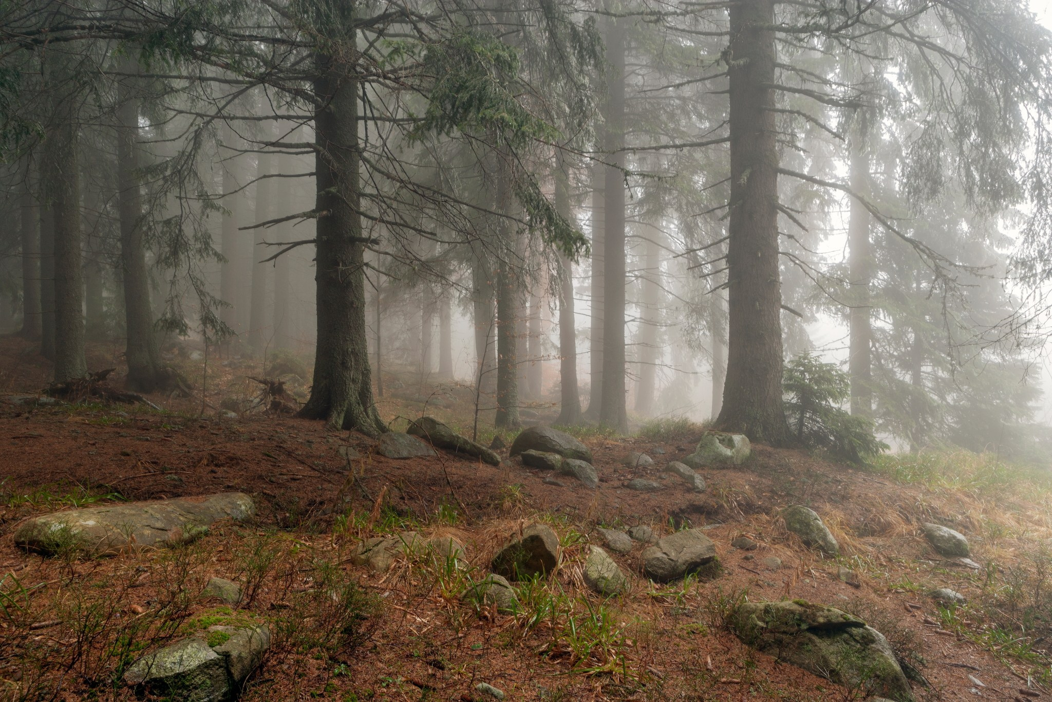 Планини. Александър Сандев - website