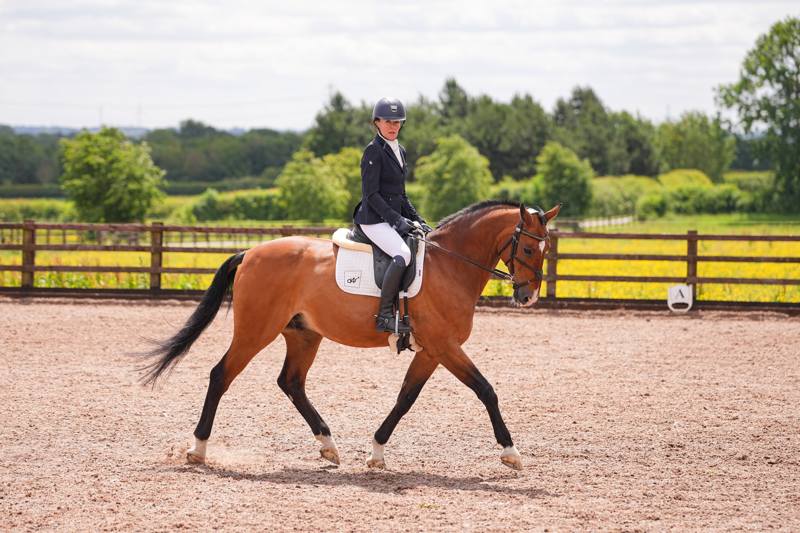 Dressage. Leicestershire Equine Photography by El | Authentic Equine Portraits & Events