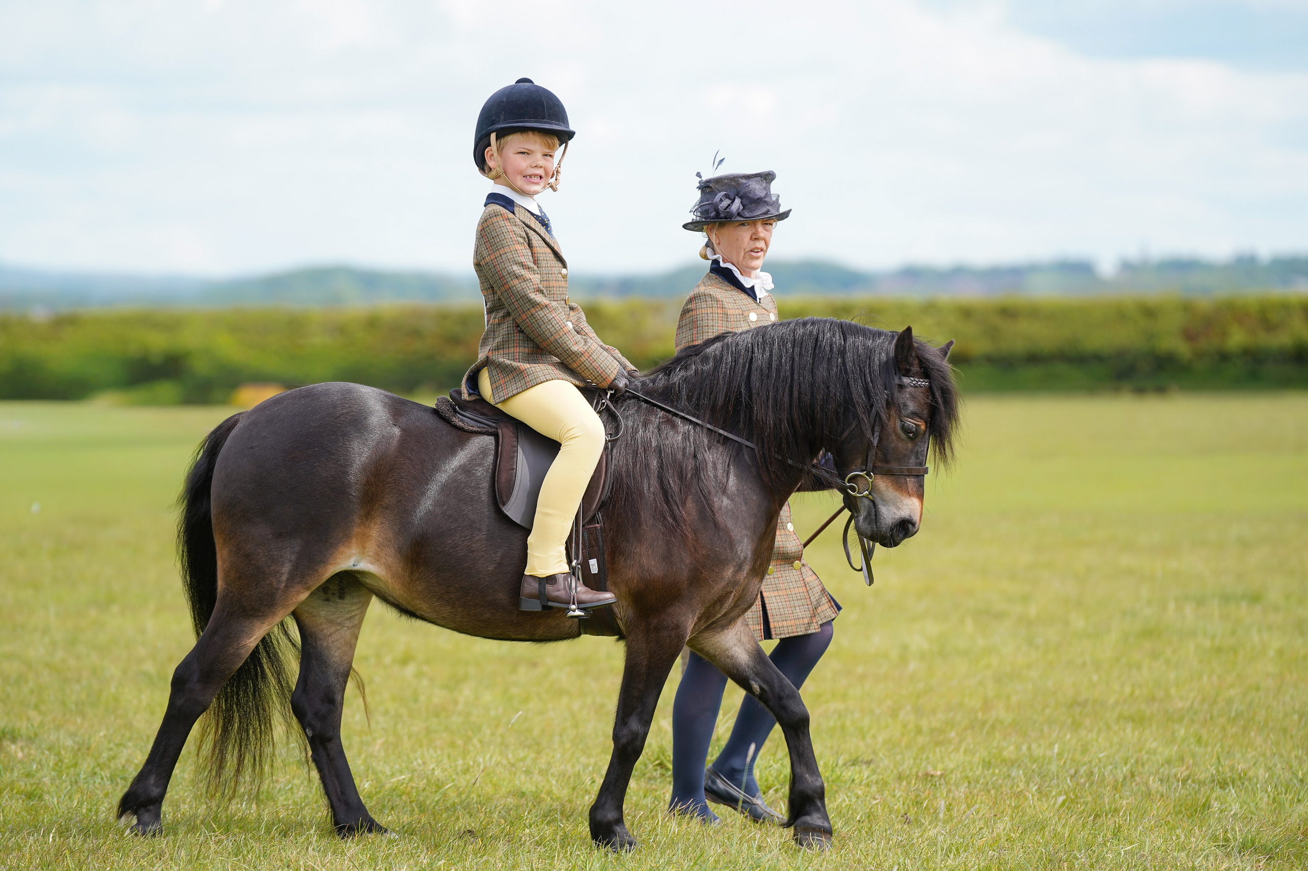 Showing. Leicestershire Equine Photography by El | Authentic Equine Portraits & Events