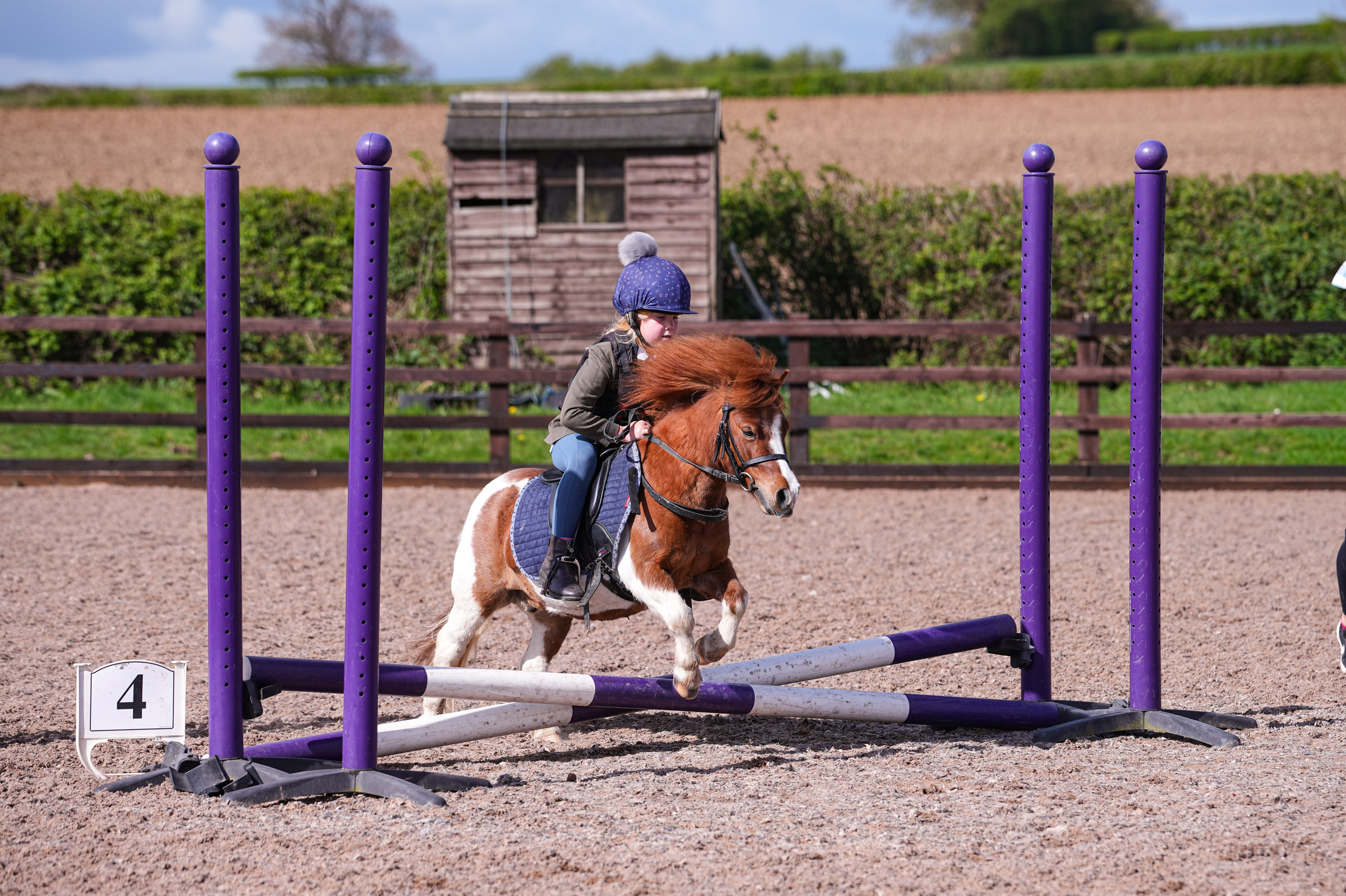 Show Jumping Photography in Leicestershire | Equine Action Shots by El. Leicestershire Equine Photography by El | Authentic Equine Portraits & Events