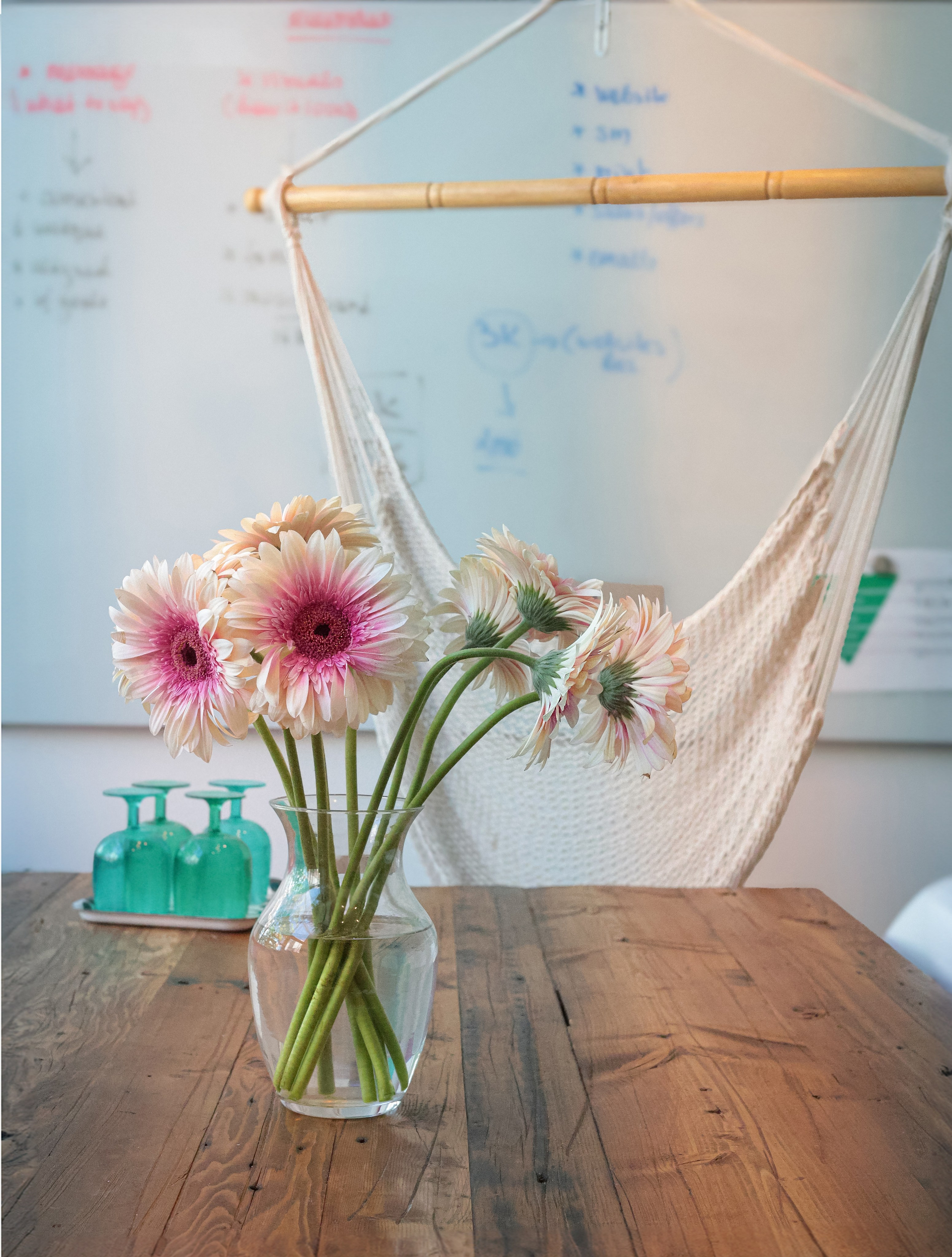 Cucumber Marketing & Business Coaching. Yana Bobrova | Artistic Photography